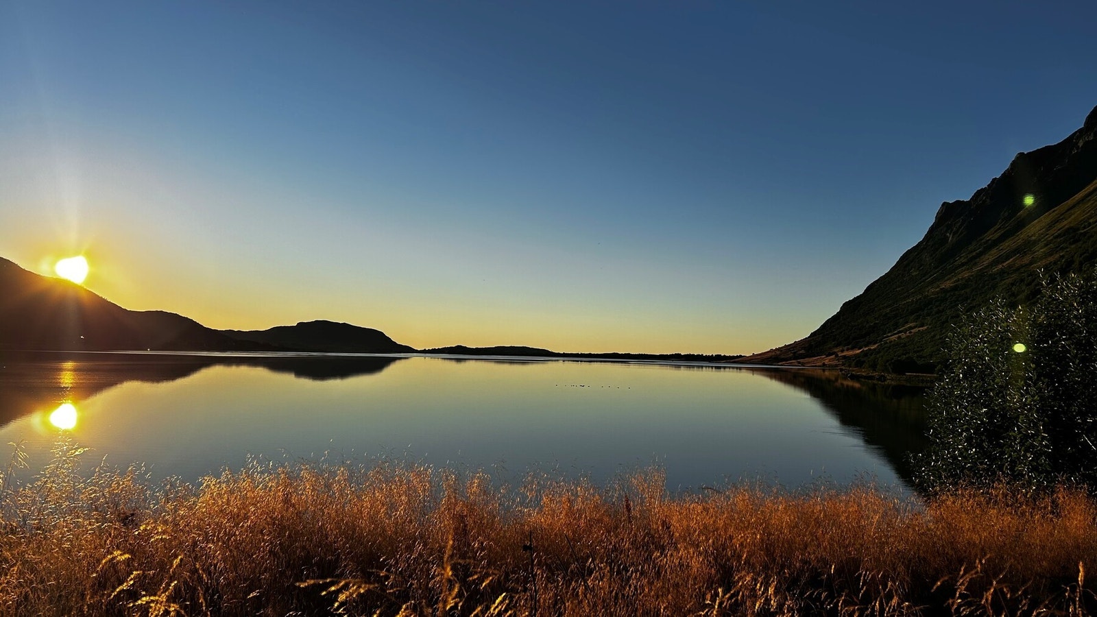 Bilde fra selger. Galleribilde