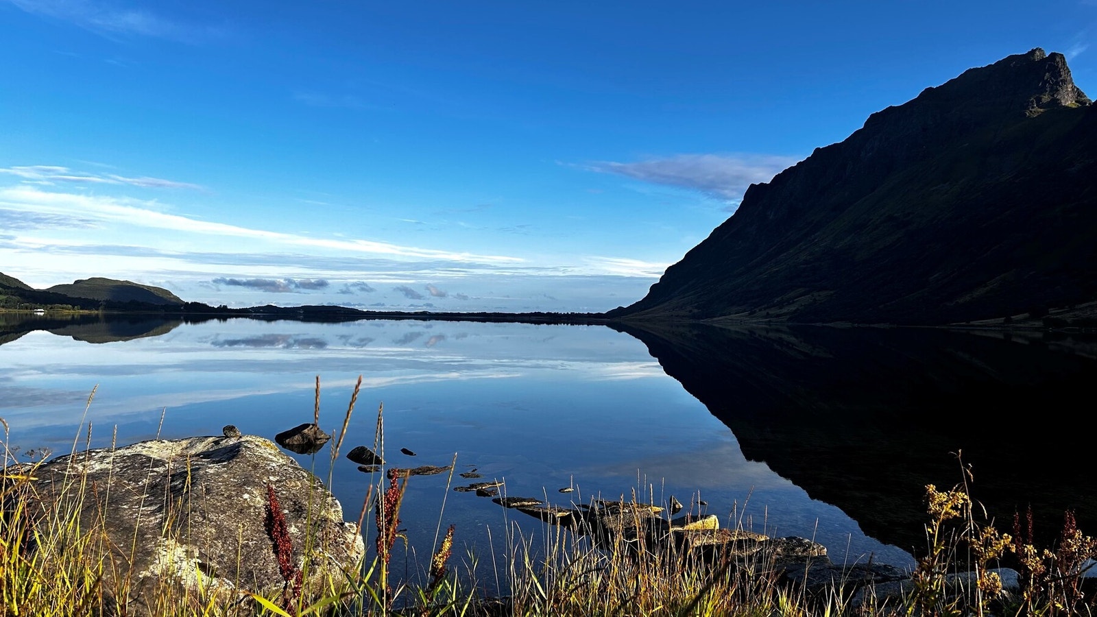 Bilde fra selger. Galleribilde