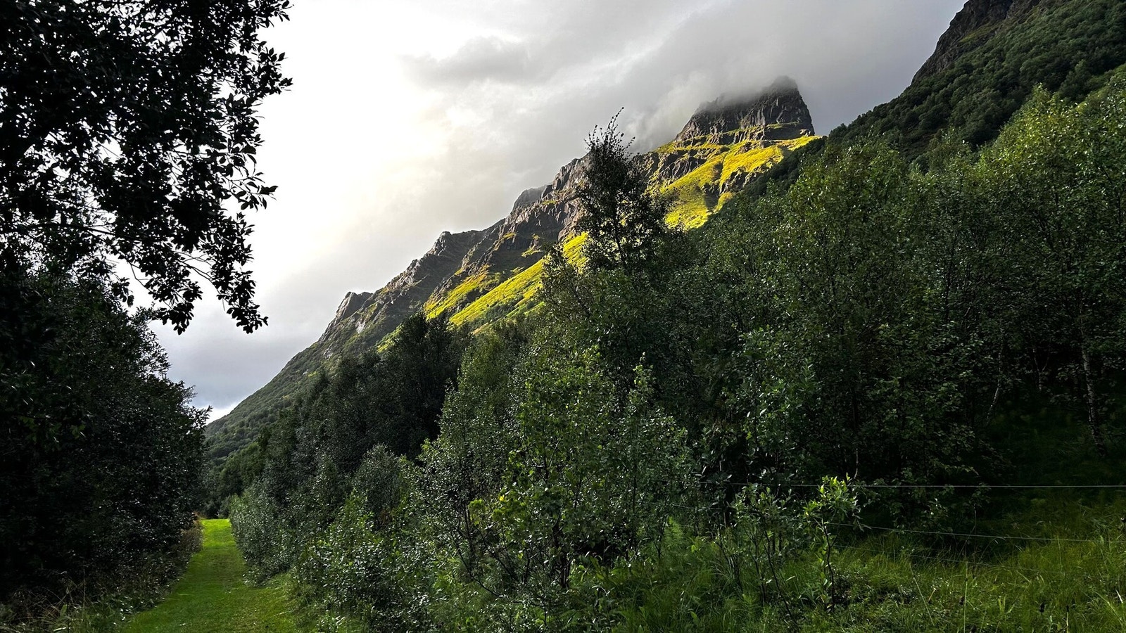 Bilde fra selger. Galleribilde