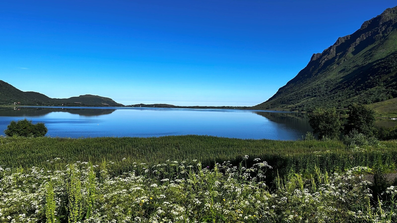 Bilde fra selger. Galleribilde