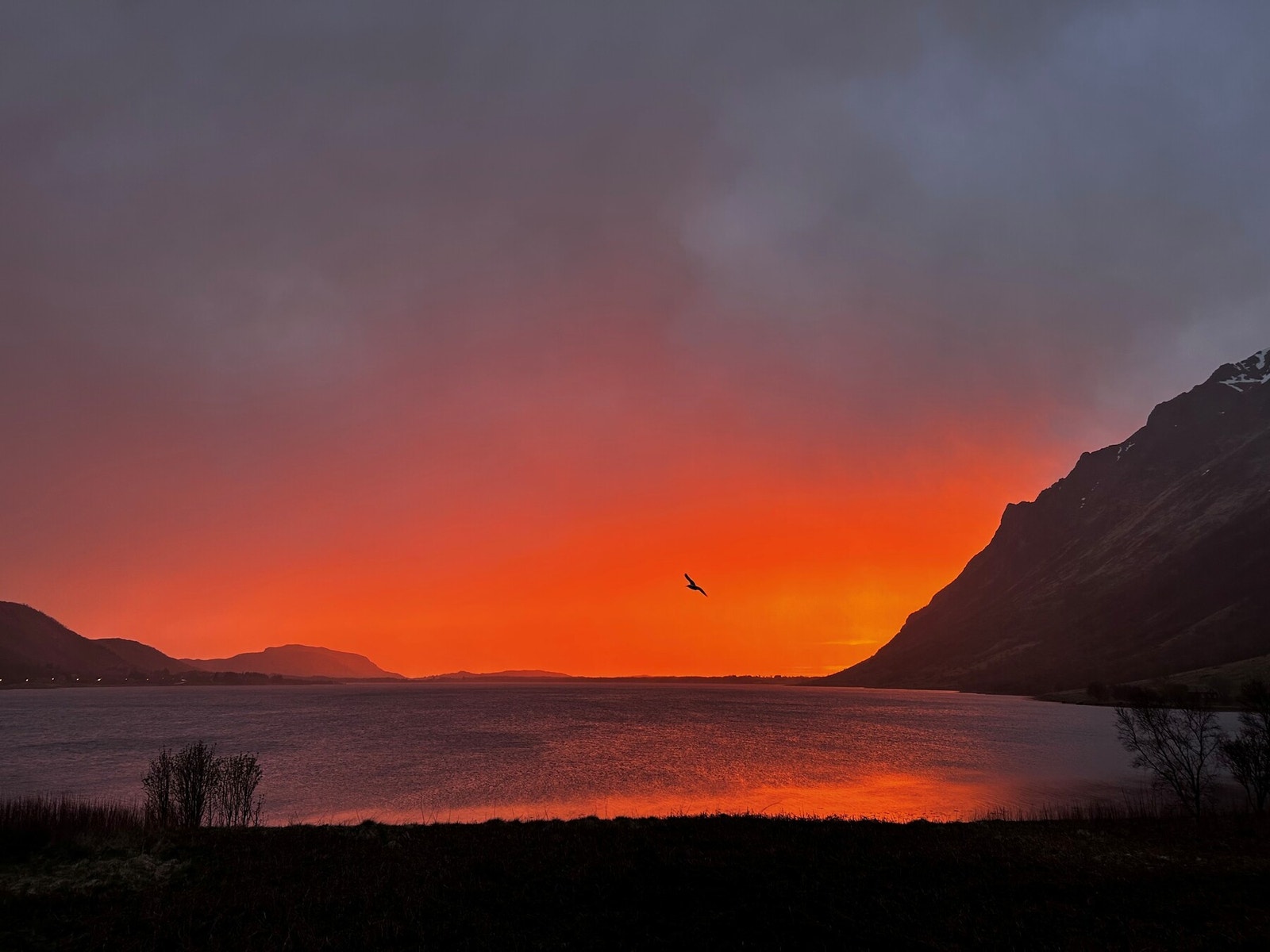 Bilde fra selger. Galleribilde