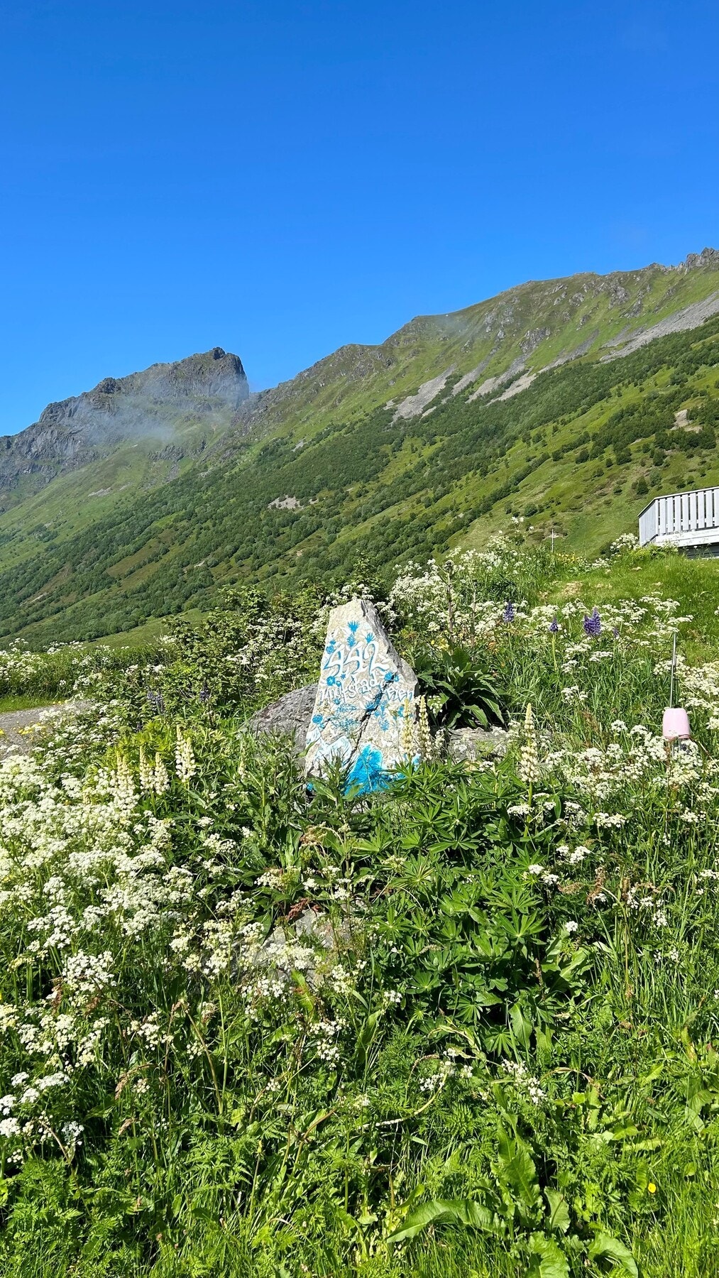 Velkommen til en trivelig visning! Galleribilde
