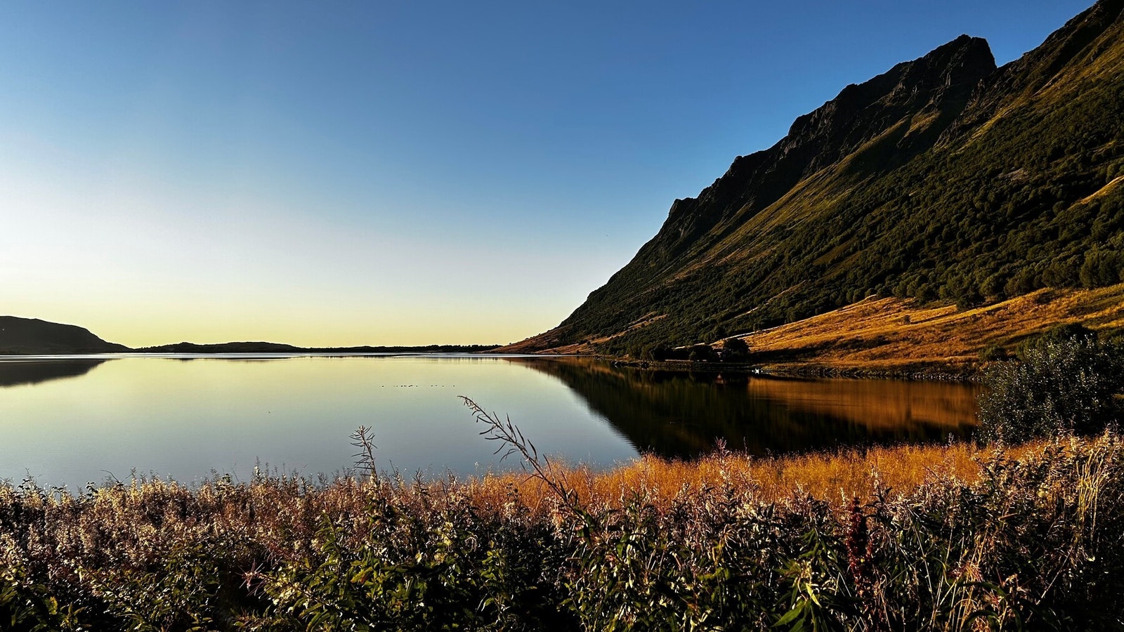 Bilde fra selger. Galleribilde