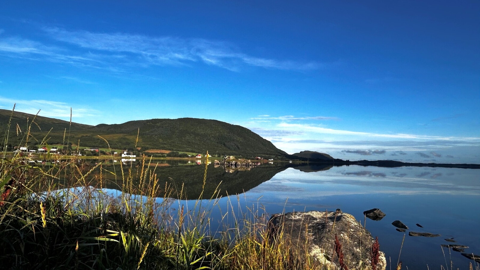 Bilde fra selger. Galleribilde