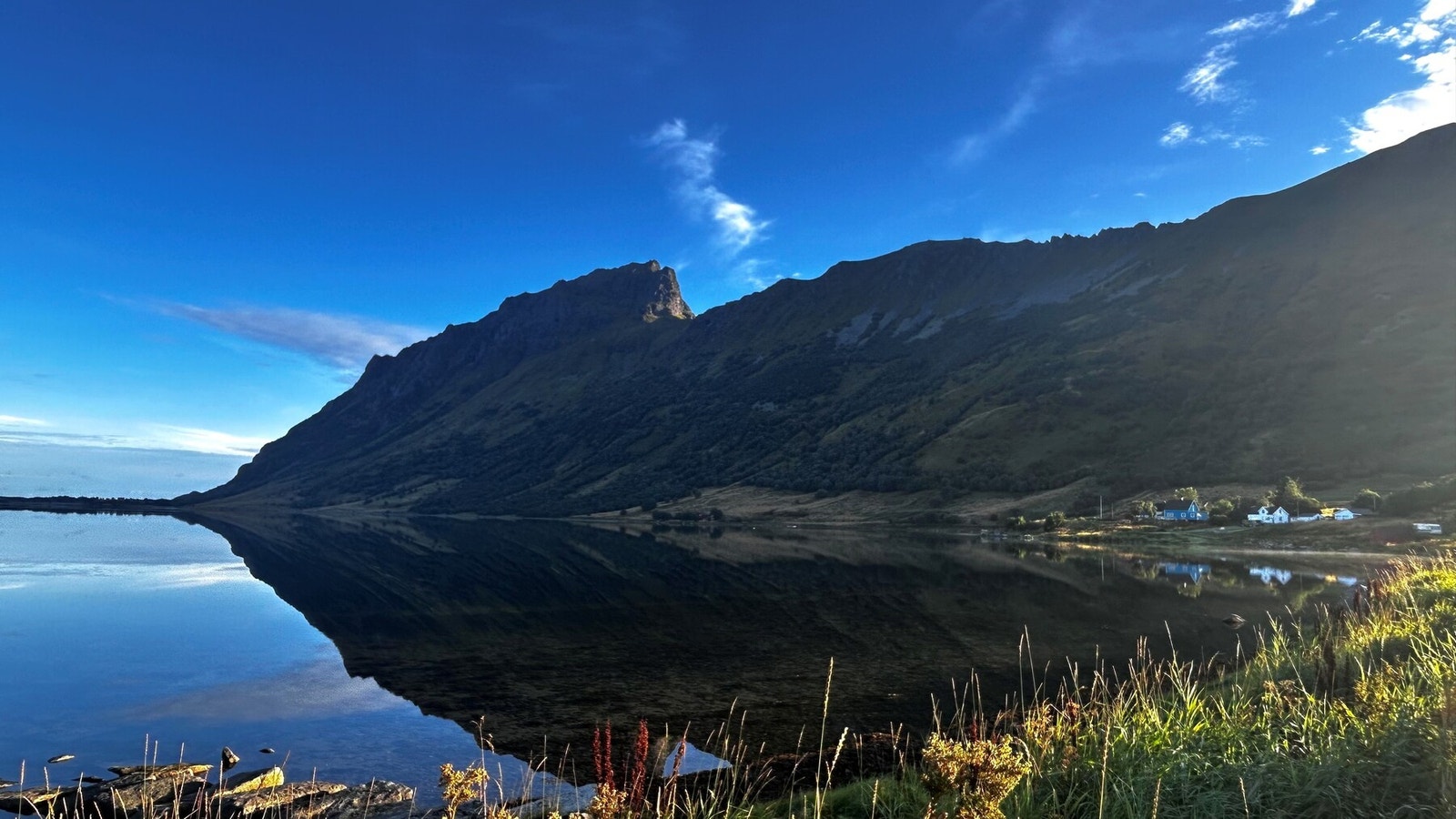 Bilde fra selger. Galleribilde