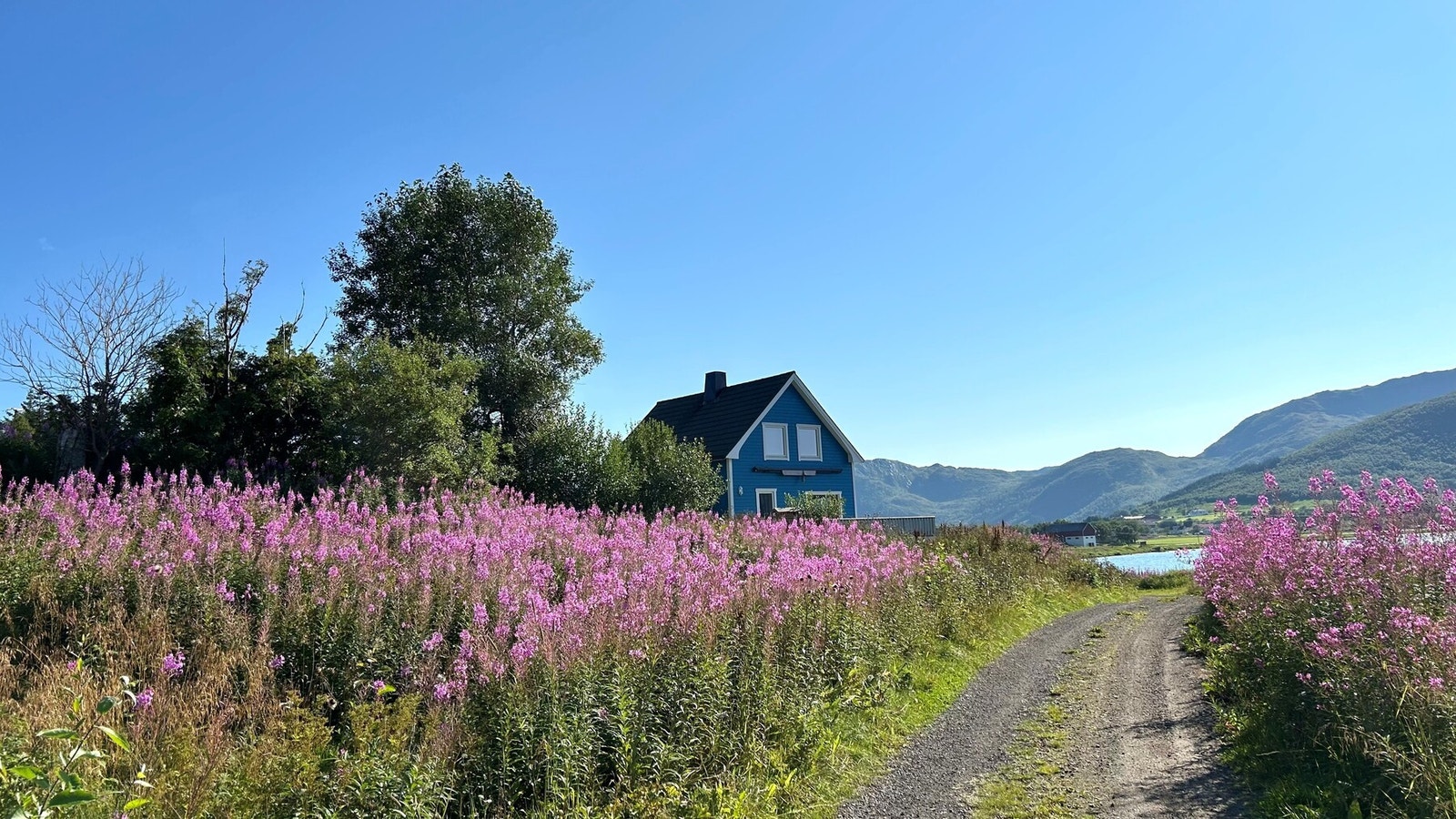 Bilde fra selger. Galleribilde