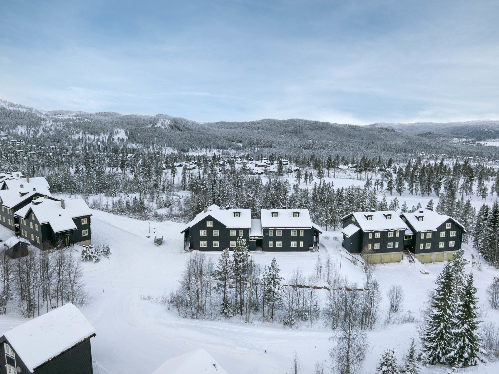 Nesbyen Fjellandsby Galleribilde