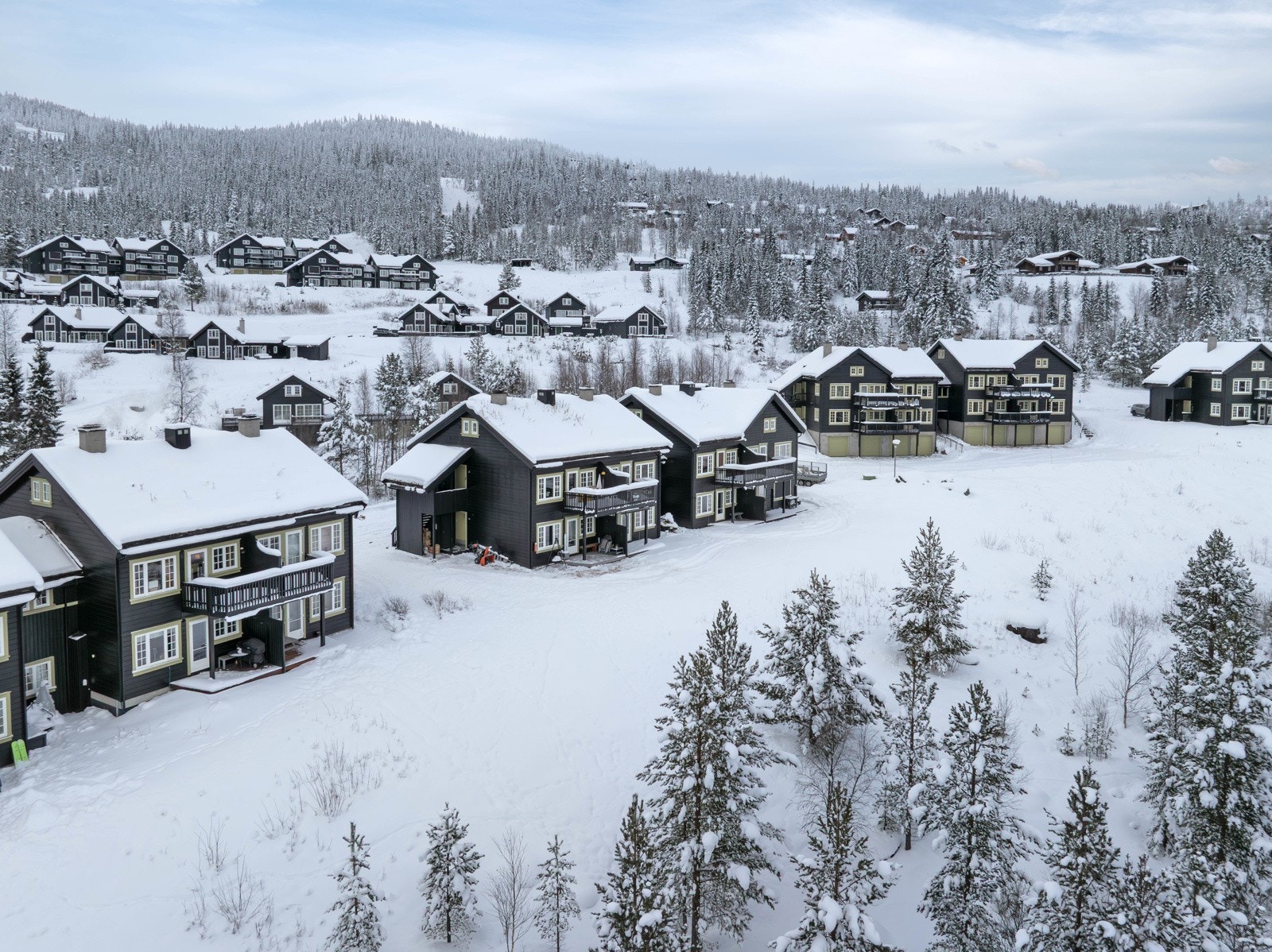 Nesbyen Fjellandsby Galleribilde