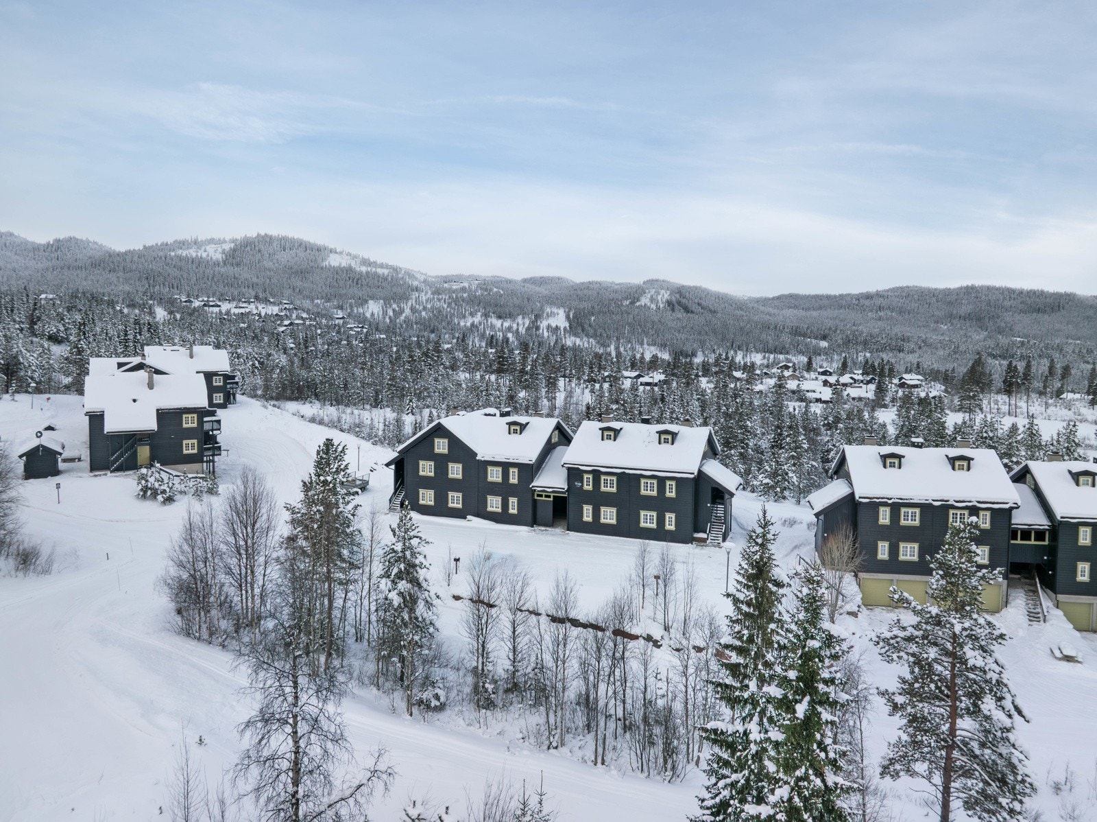 Nesbeyen Fjellandsby Galleribilde