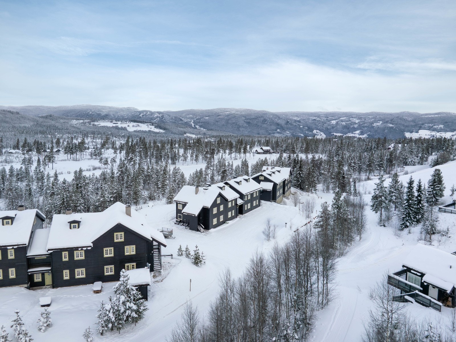 Nesbyen Fjellandsby Galleribilde