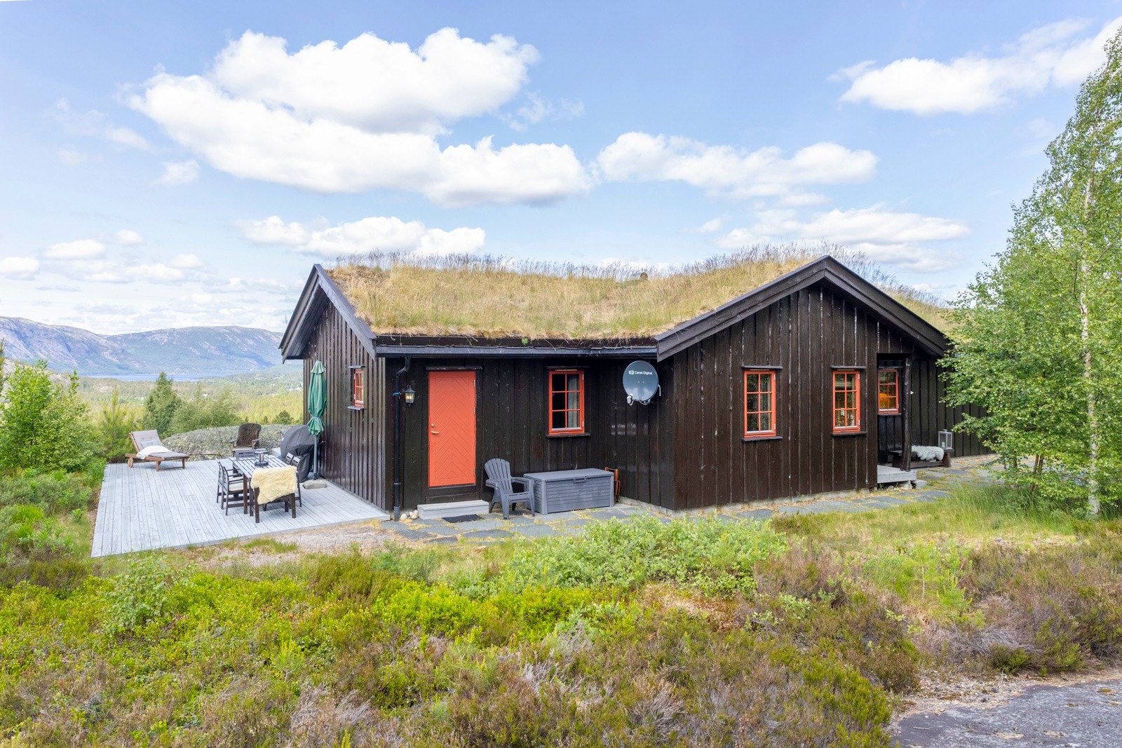 Uteområde. Galleribilde