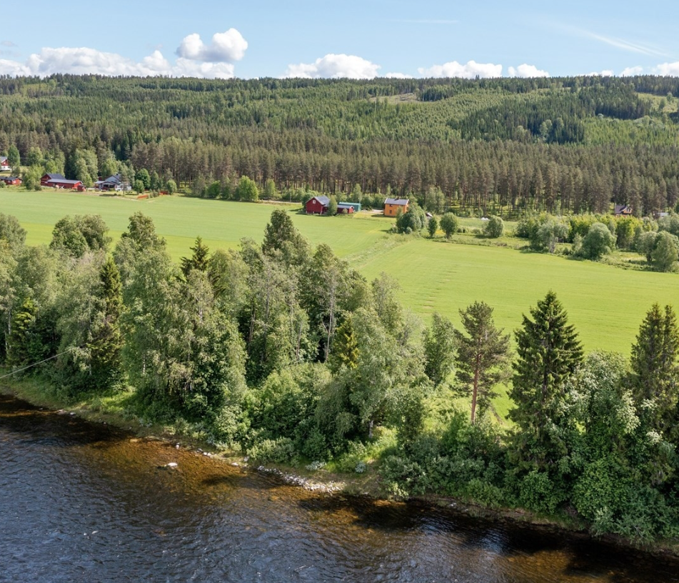 Bilde fra elva Galleribilde