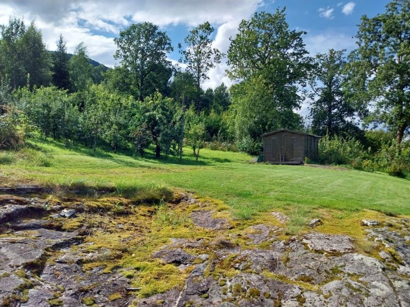 - Eiet tomt på 2 185,1m² med rikelig beplantning og et rikt utvalg av frukttrær - Galleribilde