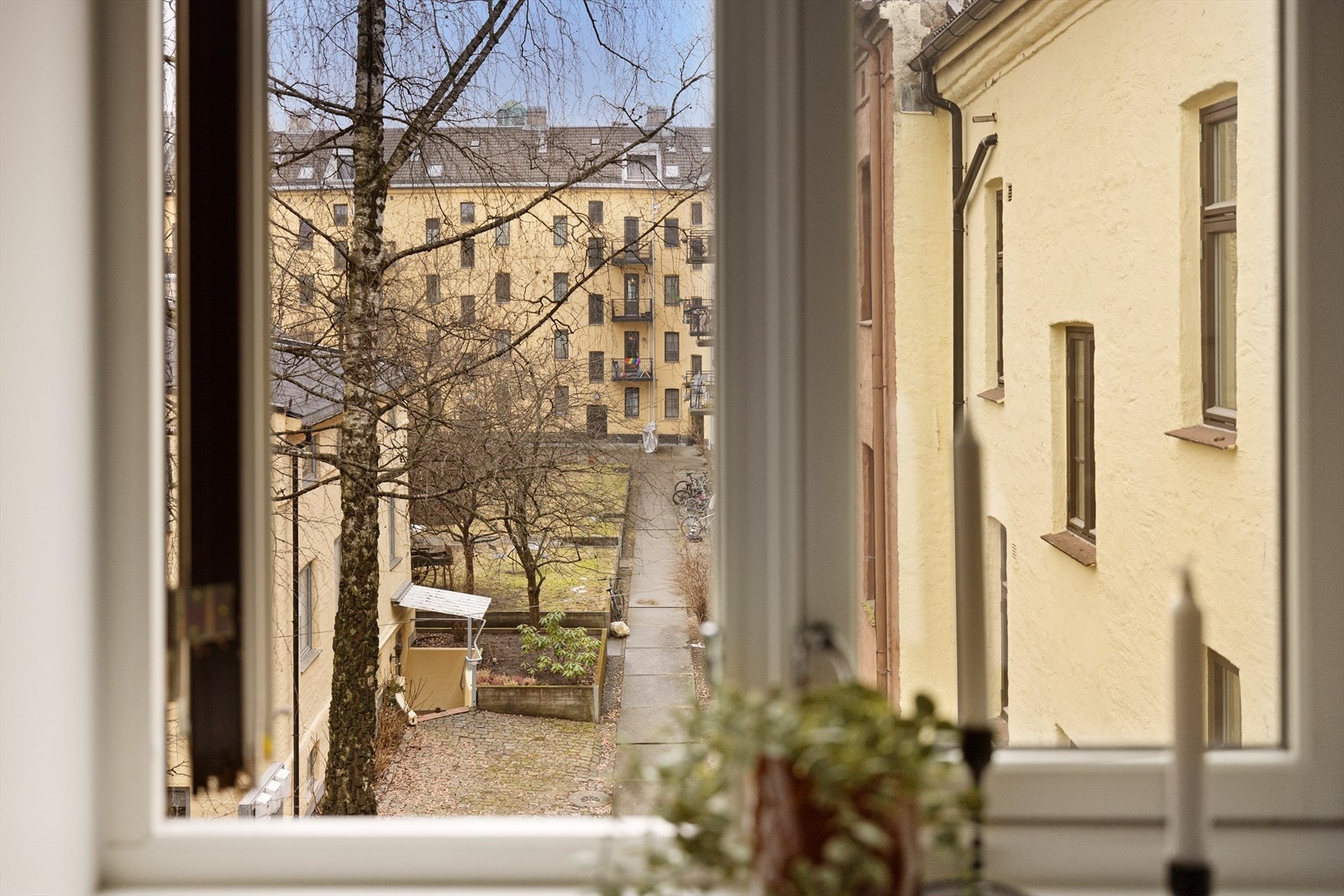 Vender mot hyggelig bakgård. Galleribilde