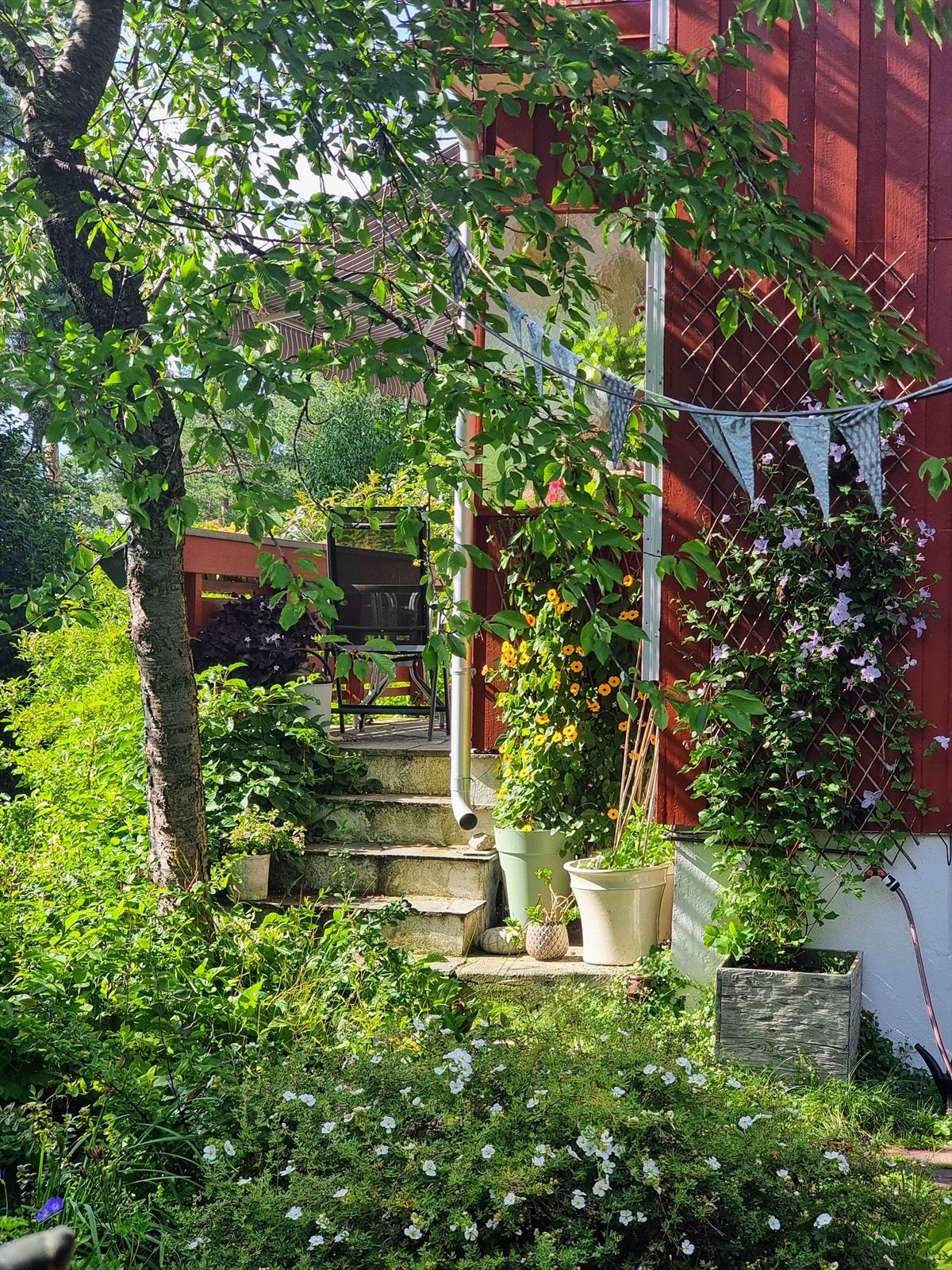 Selgers private sommerbilder - Utsikt fra markterrasse til stueterrassen. Galleribilde