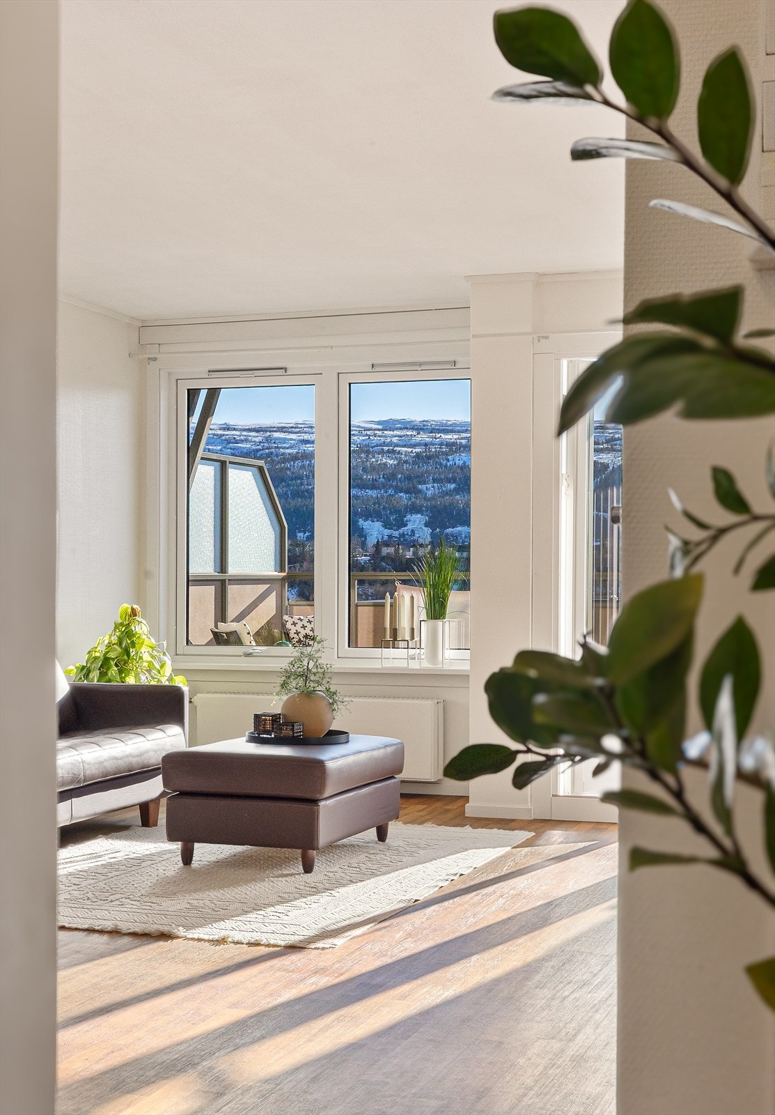 I all hovedsak sør og sør-vest vendt, hvilket betyr svært godt med naturlig lys inn i leiligheten. Galleribilde