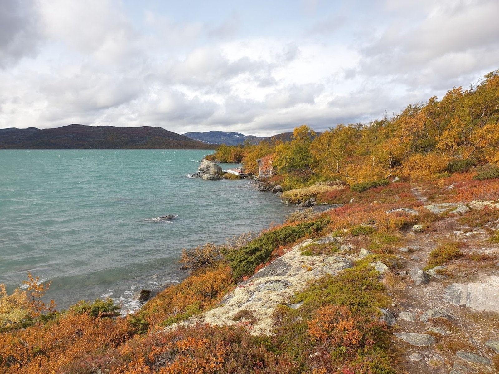 Selgers foto Galleribilde