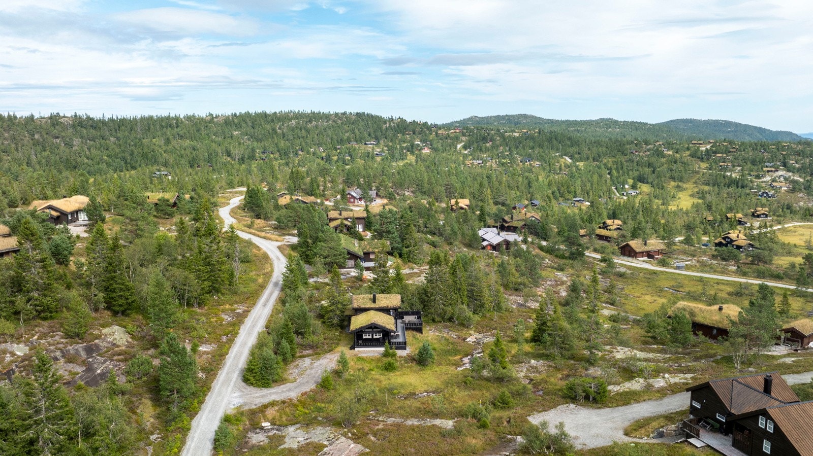 I området er det også gode muligheter for bærplukking. Galleribilde