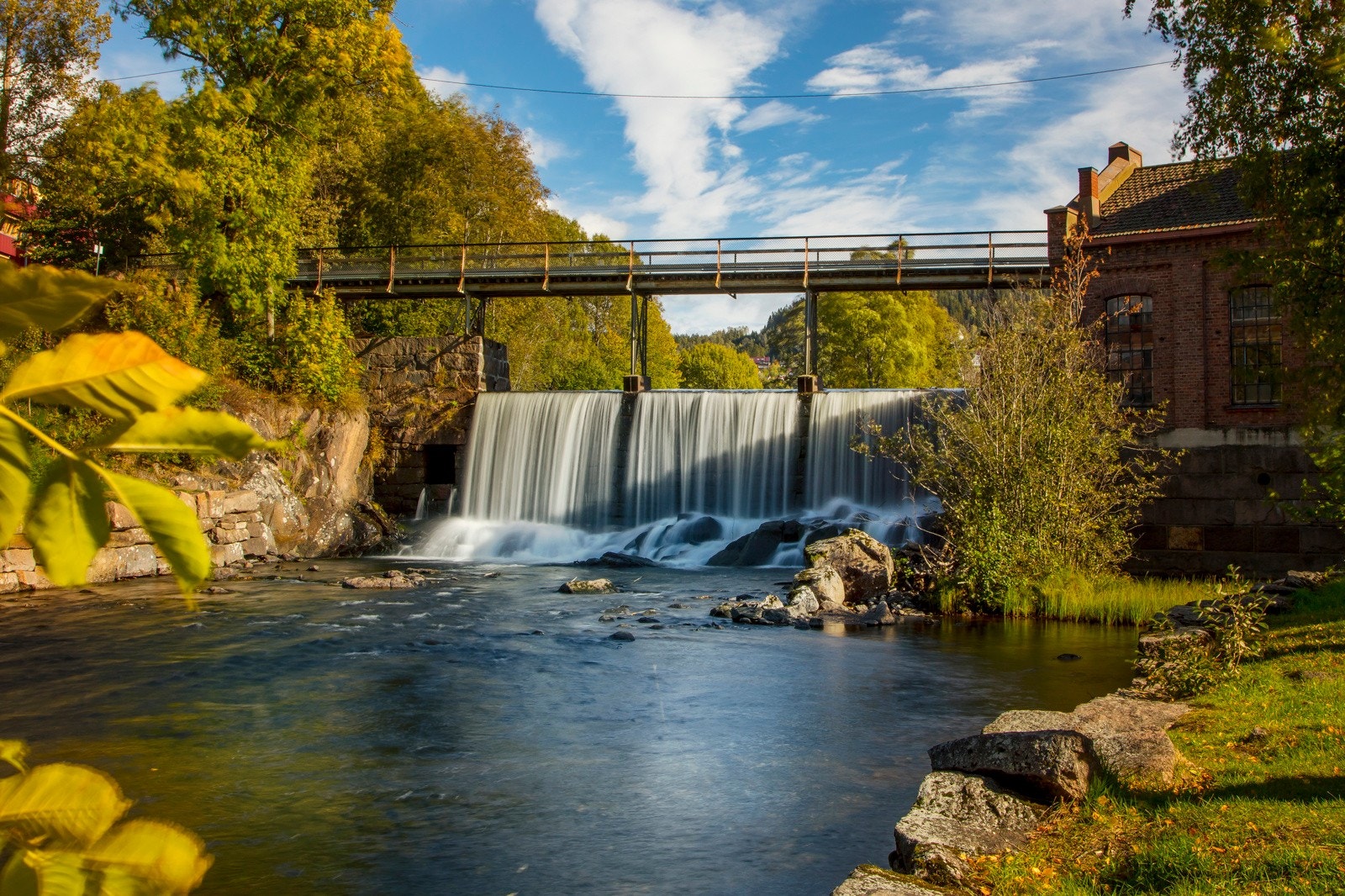 Nærområde. Galleribilde