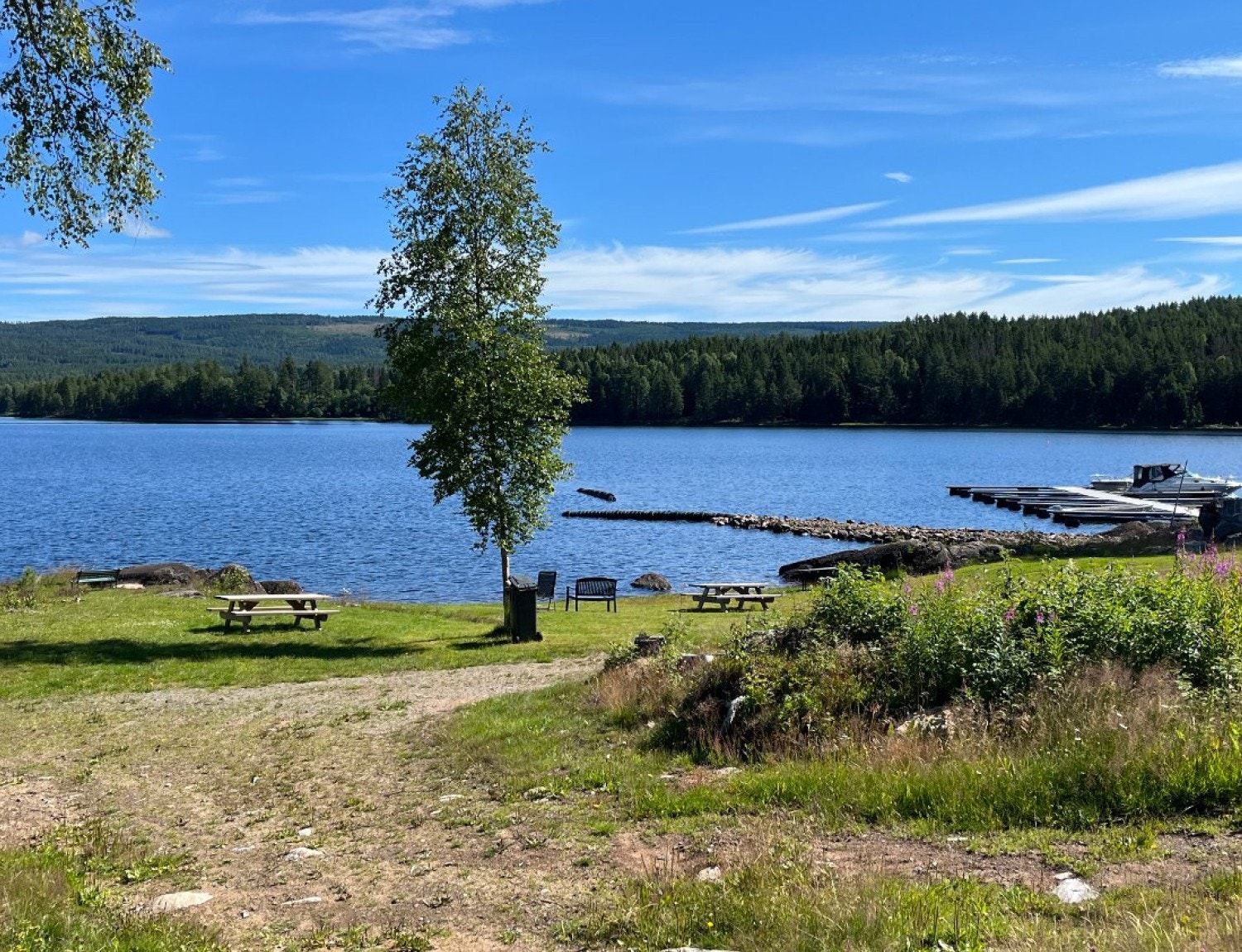 Illustrasjonsbilder fra nærområdet Galleribilde