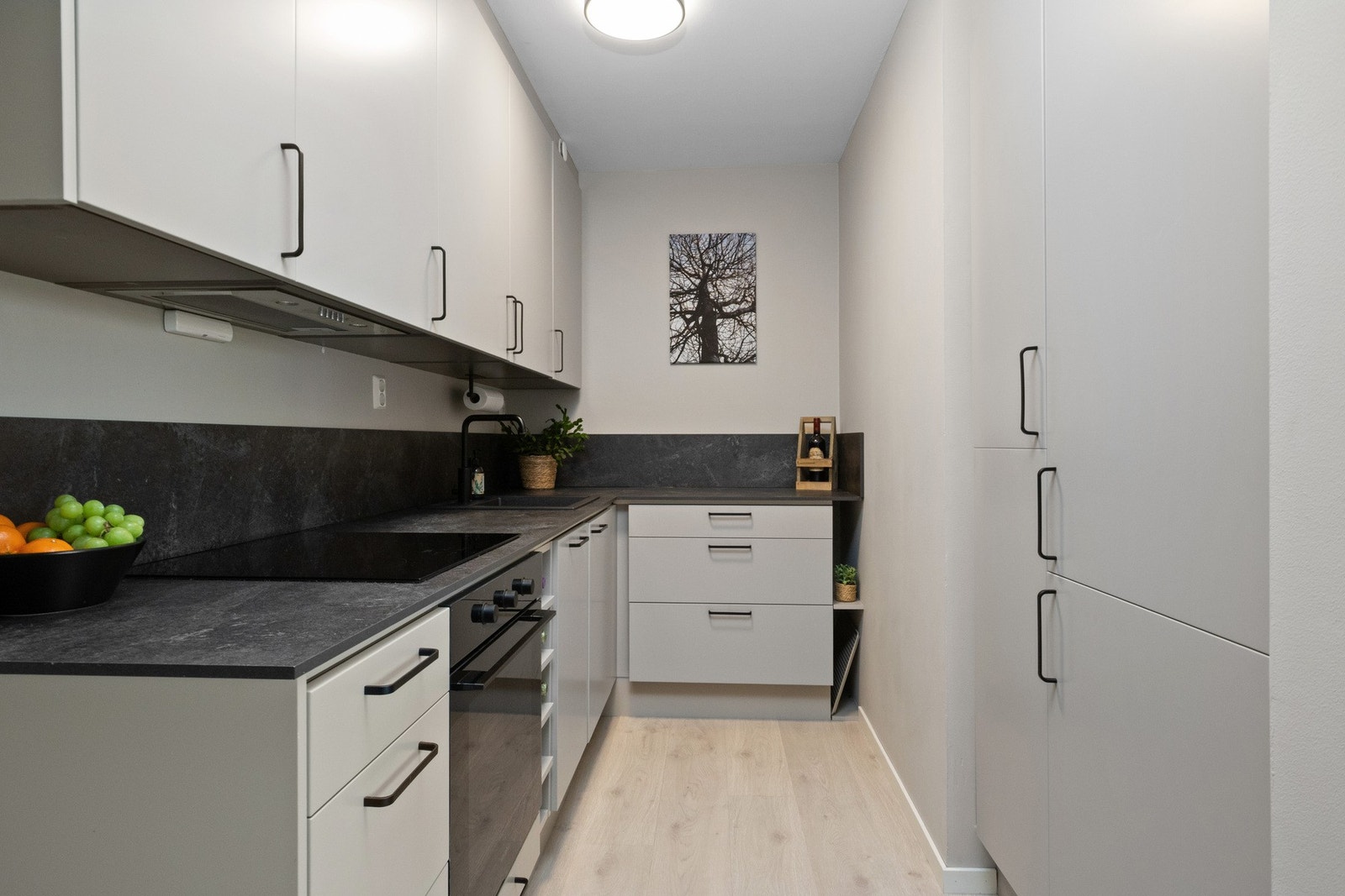 Det er integrert oppvaskmaskin, kjøl/fryseskap, platetopp og
stekeovn. Galleribilde