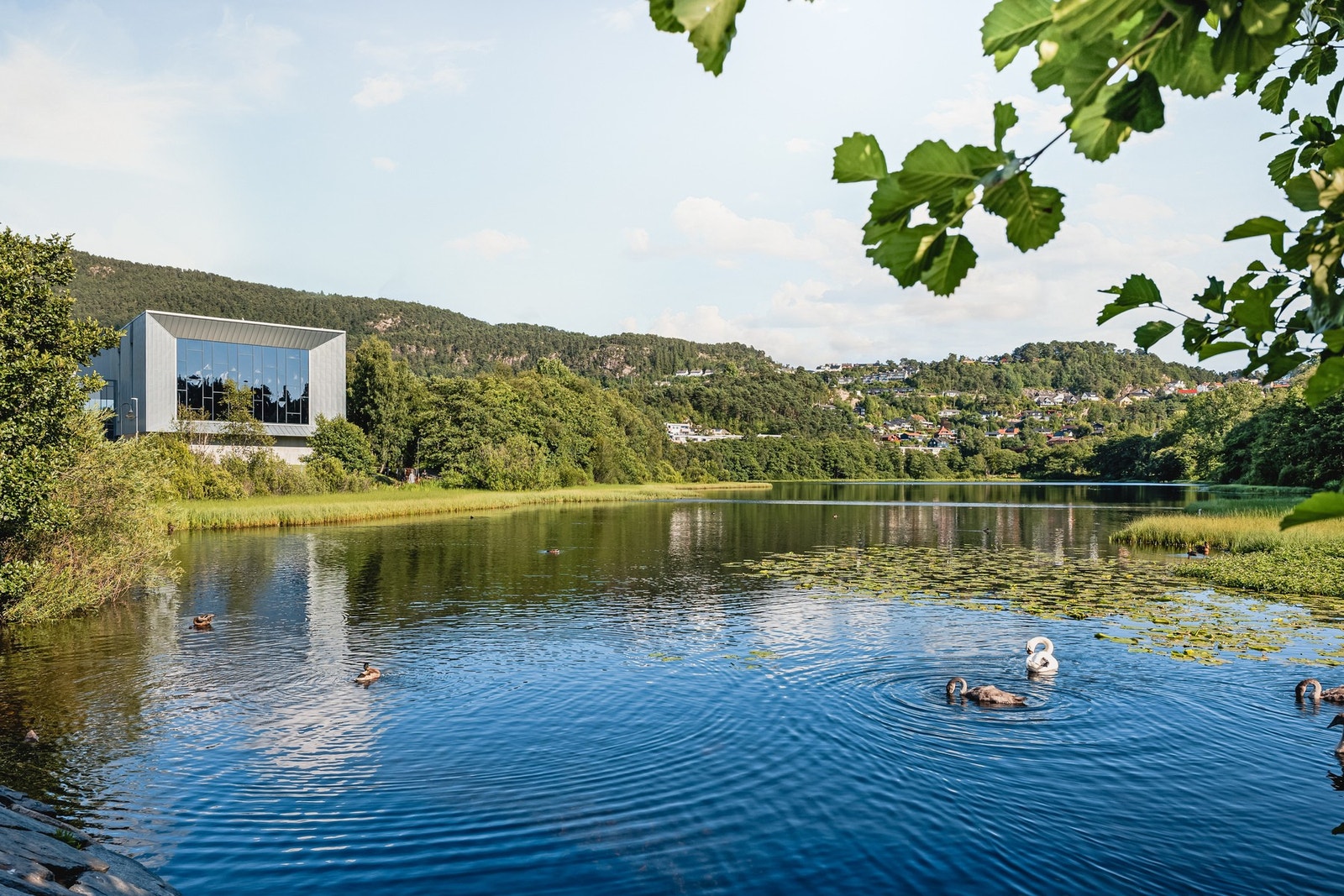 Roligere turer kan tas rundt Ortuvannet og Lynghaugtjørna. Galleribilde