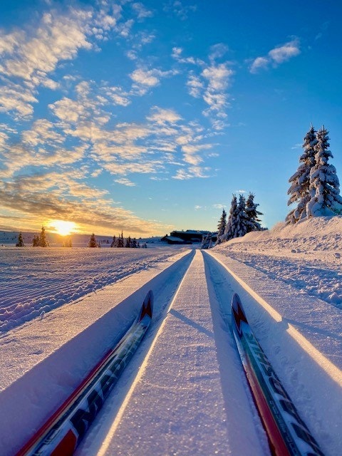 Nykjørte løyper i solnedgang ved Pellestova. Galleribilde