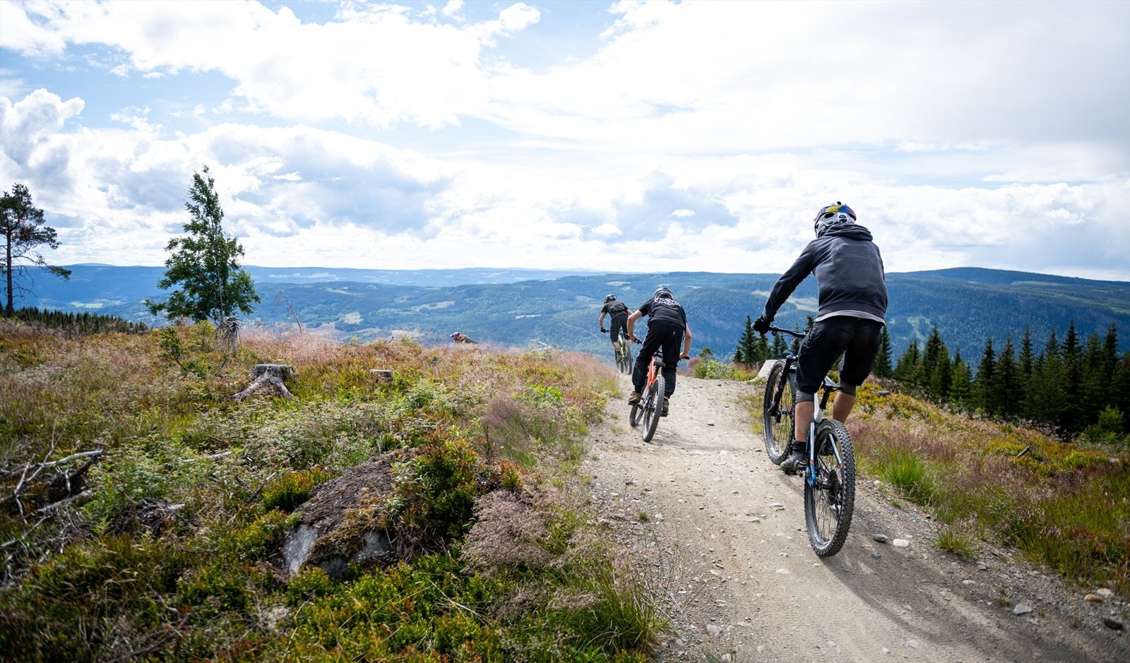 I Hafjell Bike Park finner du hele 19 løyper fra grønn til svart vanskelighetsgrad fordelt på hele 25 km. Galleribilde