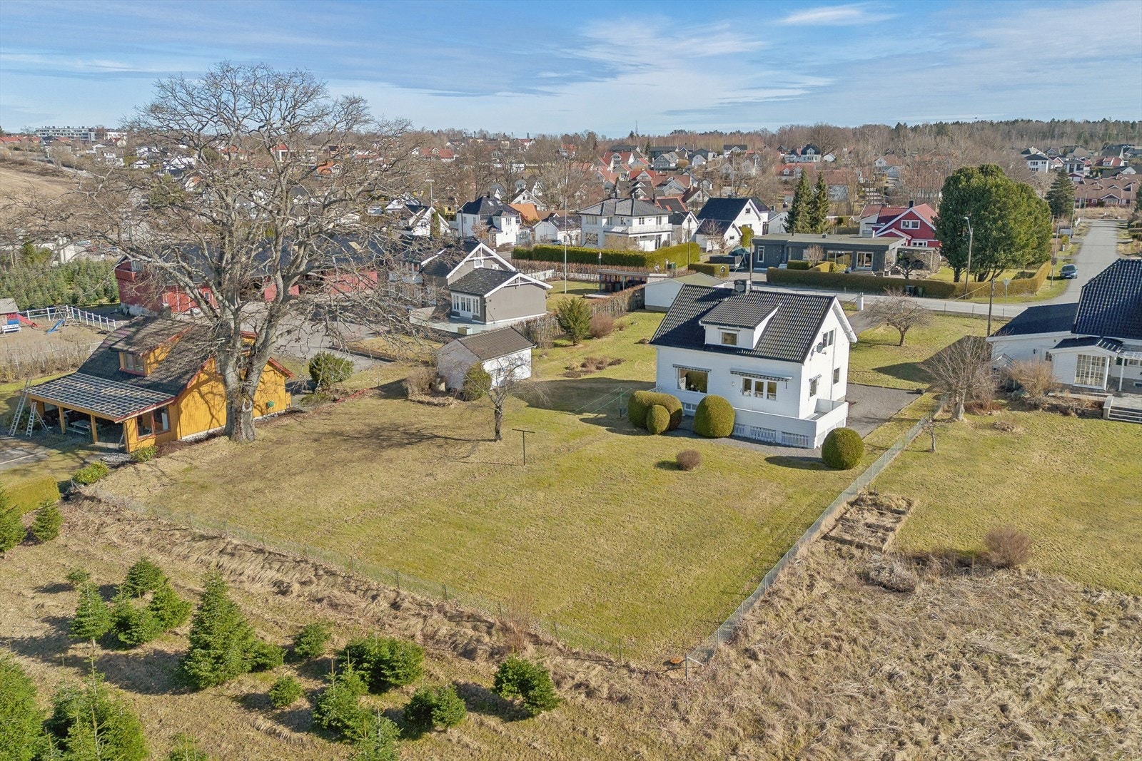 Tomten er inngjerdet - og har et stort og vakkert eiketre i det vestre hjørnet Galleribilde