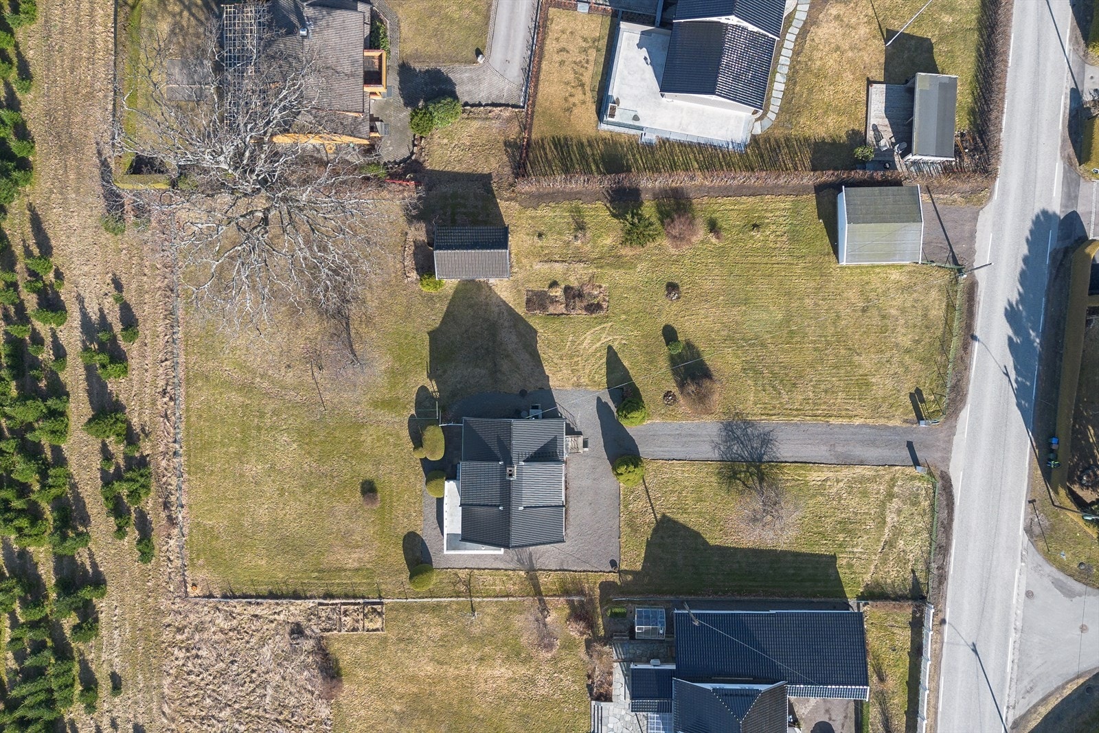 Tomten er tilnærmet flat med pen beplantning Galleribilde