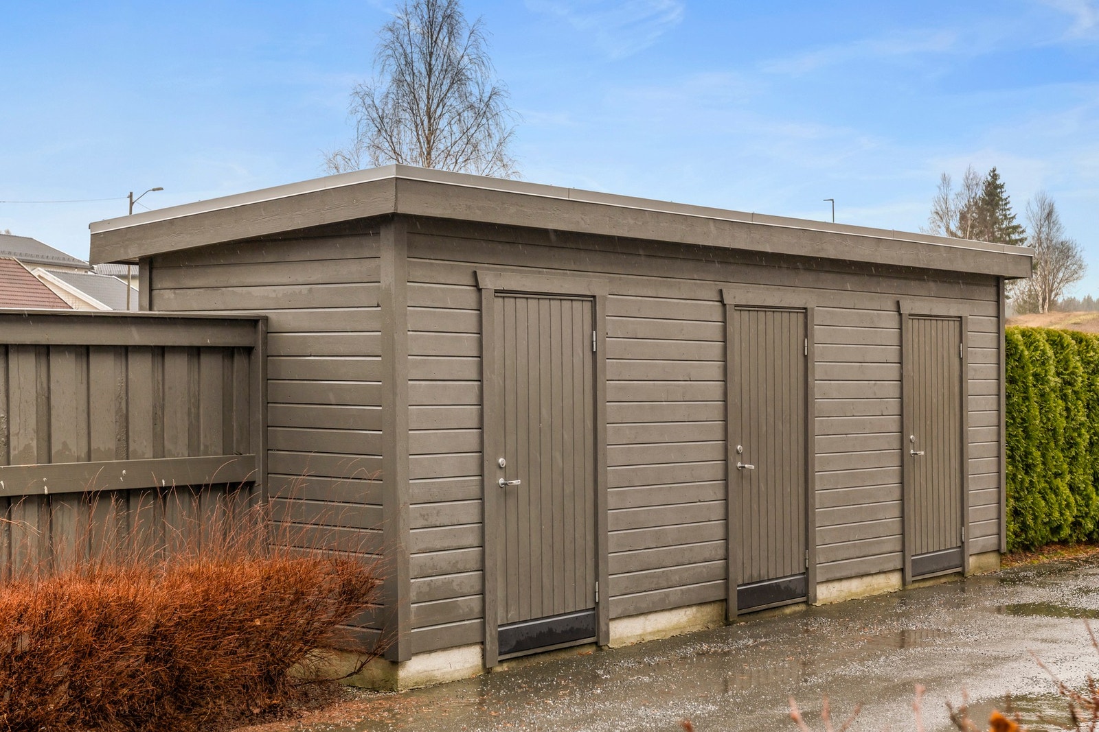 Sportsbod Galleribilde