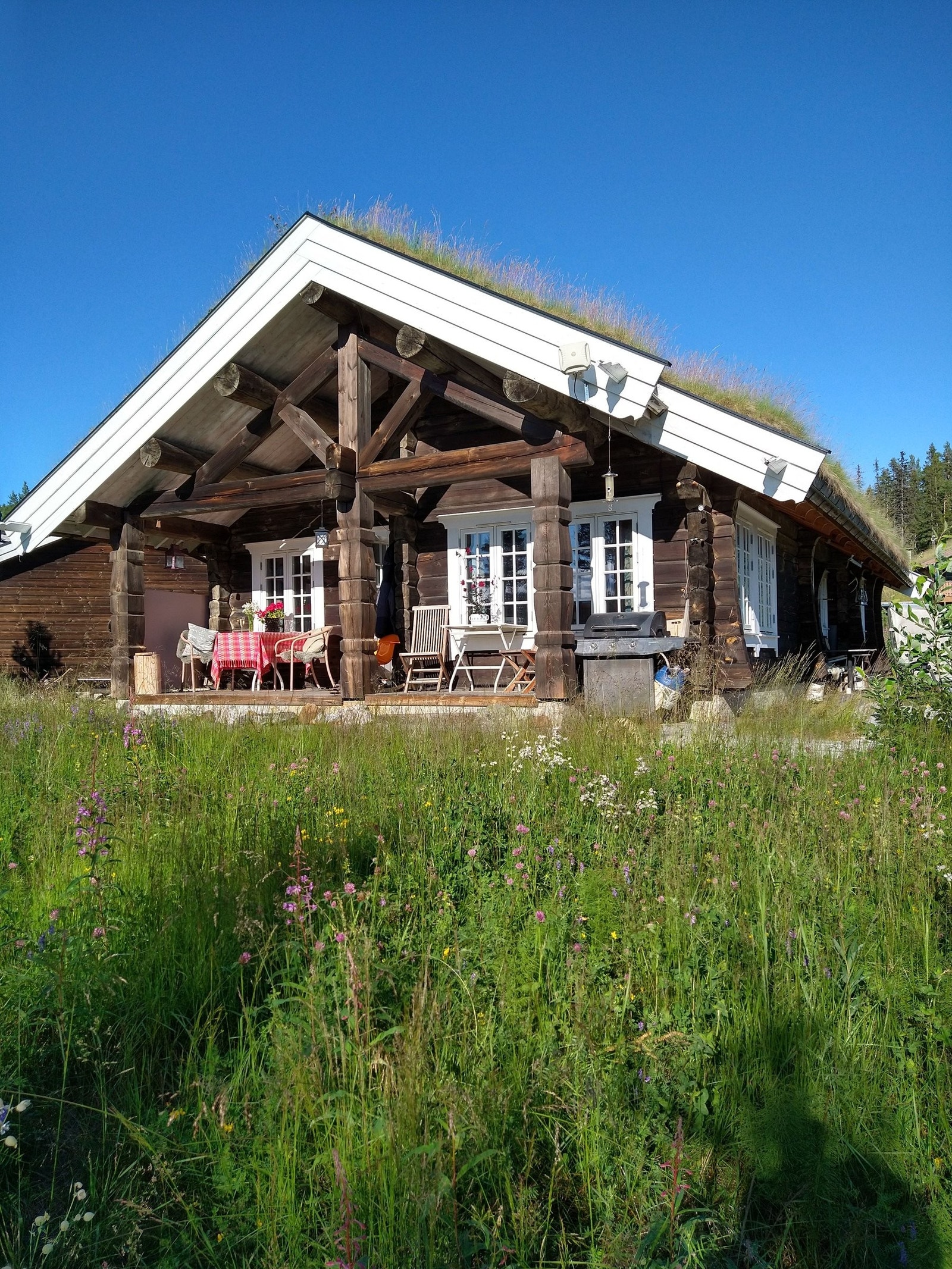 Sommer, fra vest Galleribilde