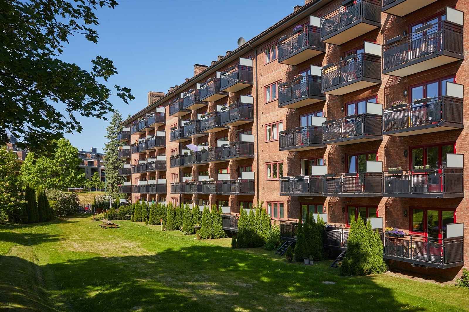 Velkommen til en hyggelig visning! Galleribilde