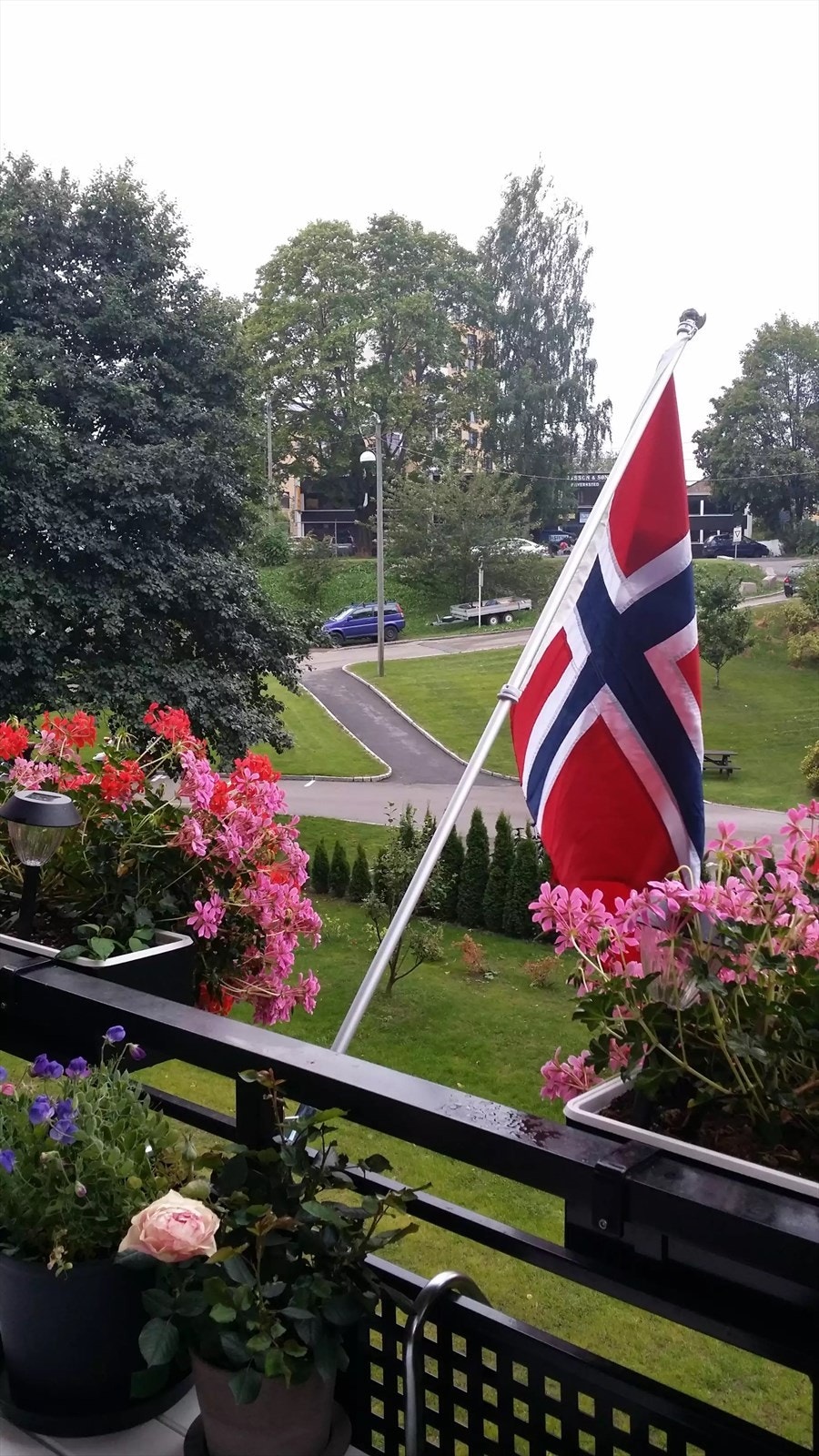 Privat bilde fra selger Galleribilde