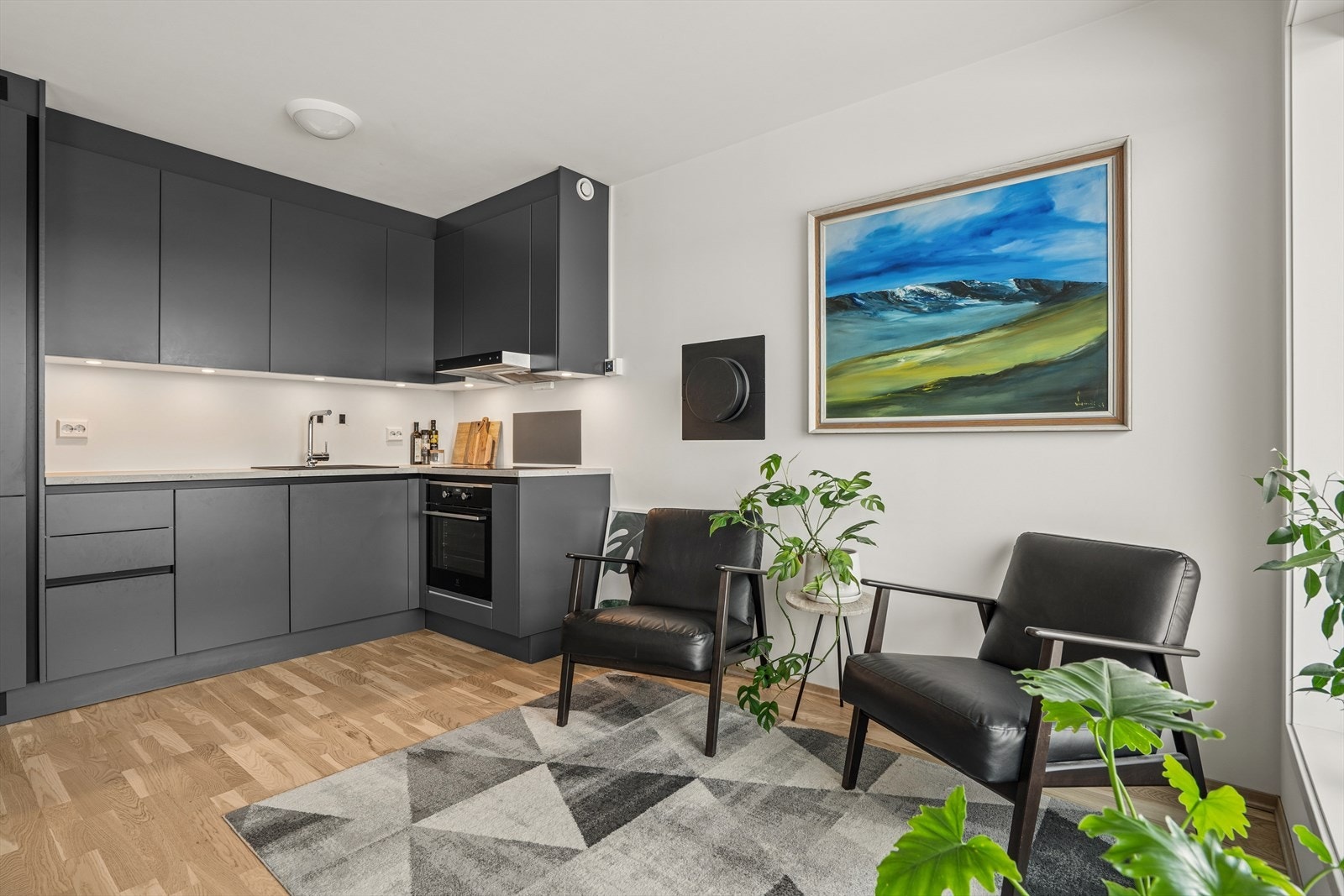 Her er god plass til spisestue ved kjøkkenet om ønskelig. Galleribilde