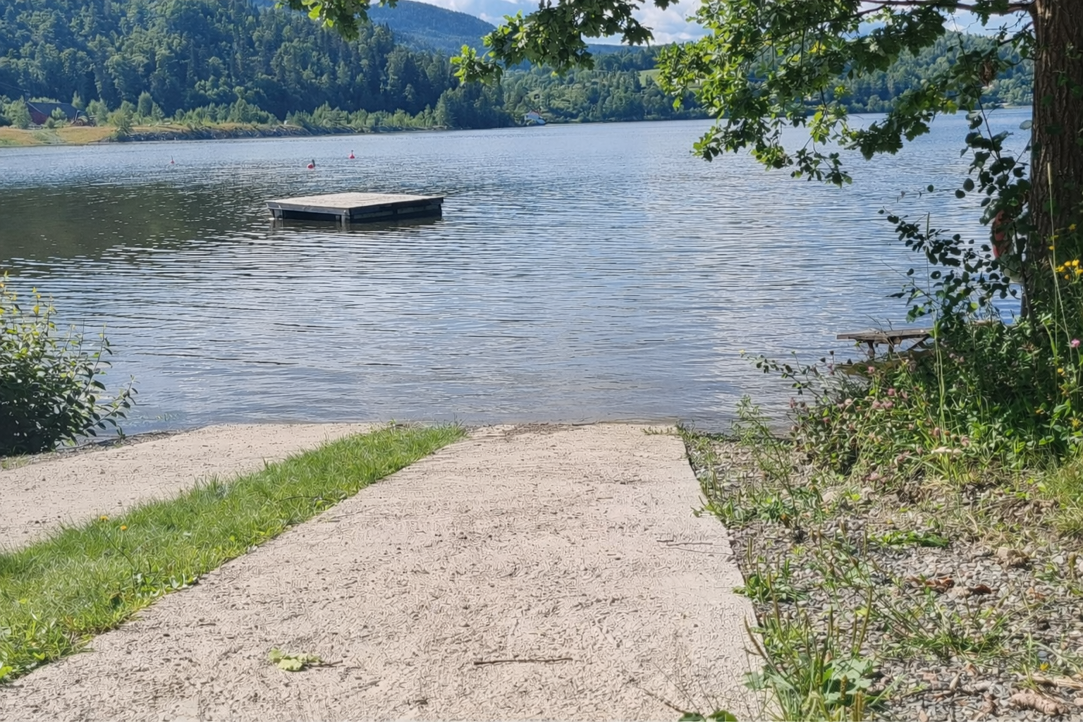 Selgers bilde Galleribilde