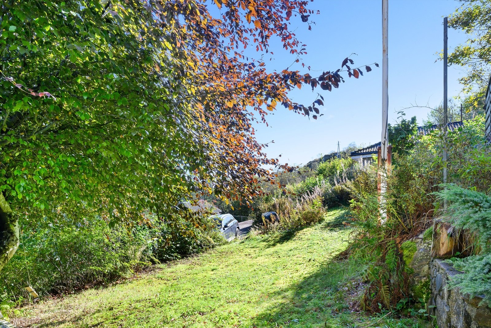 God boltreplass for liten og stor for lek og moro. Galleribilde