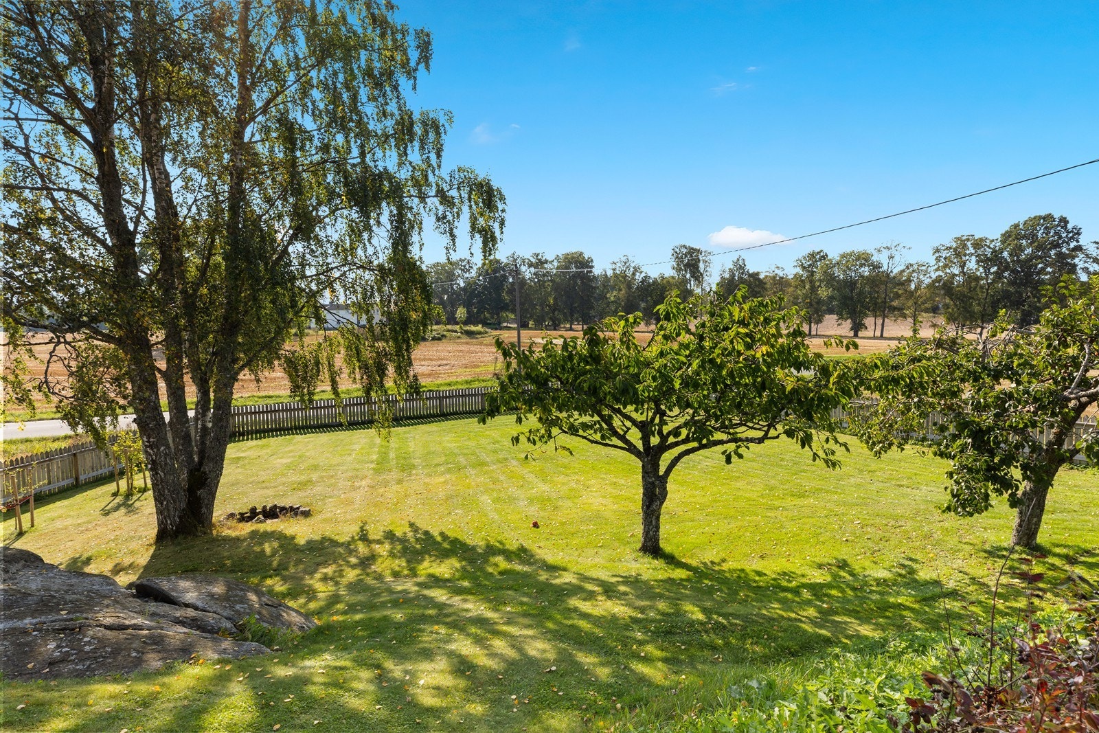 Hele tunet er inngjerdet, kjekt for de med dyr som vil være ute. I hagen kan du ta med deg høstekurven og sanke frukt og bær Galleribilde