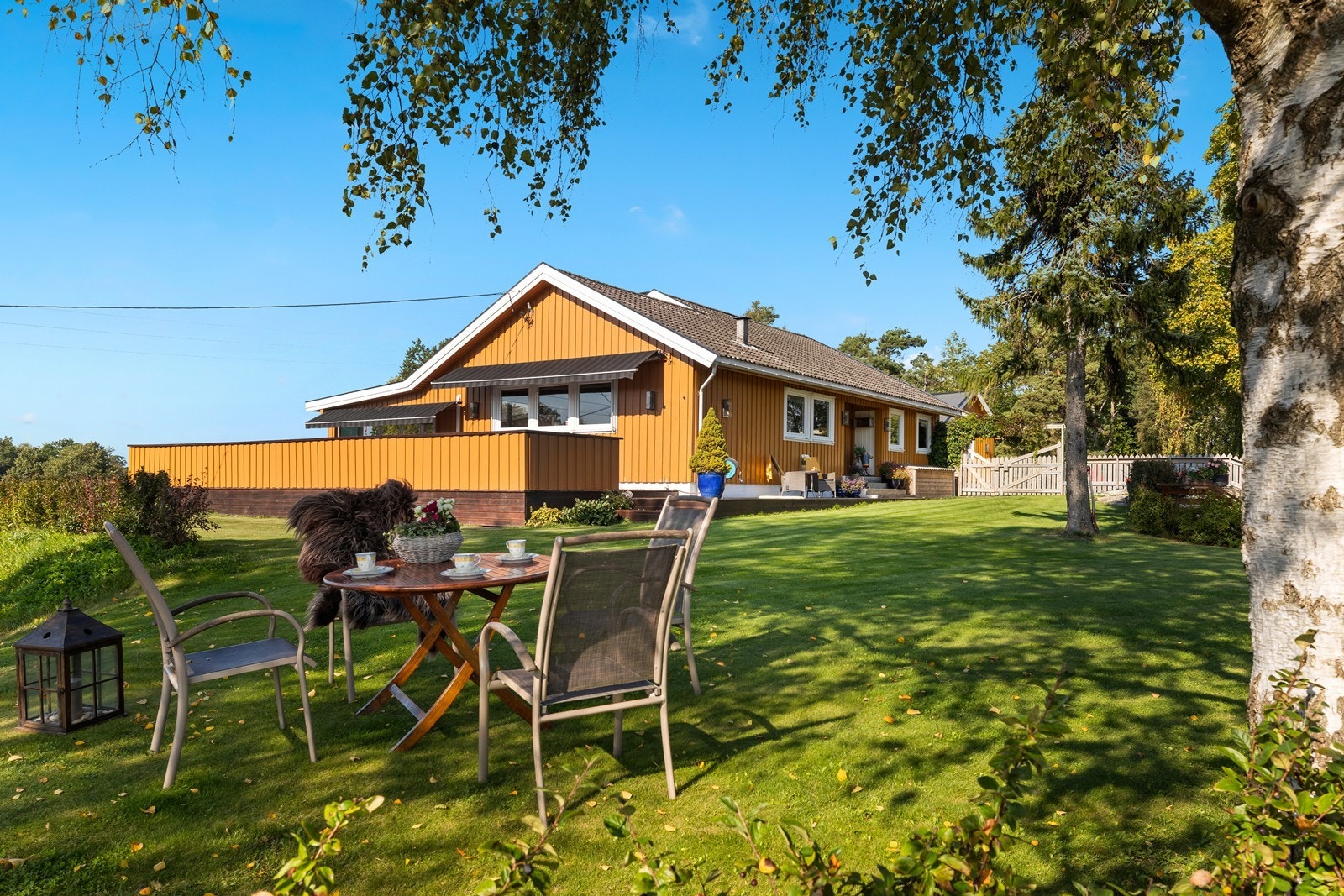 Et av de deilige uterommene på tunet. Under dette store bjerketreet finner du skygge på varme sommerdager Galleribilde