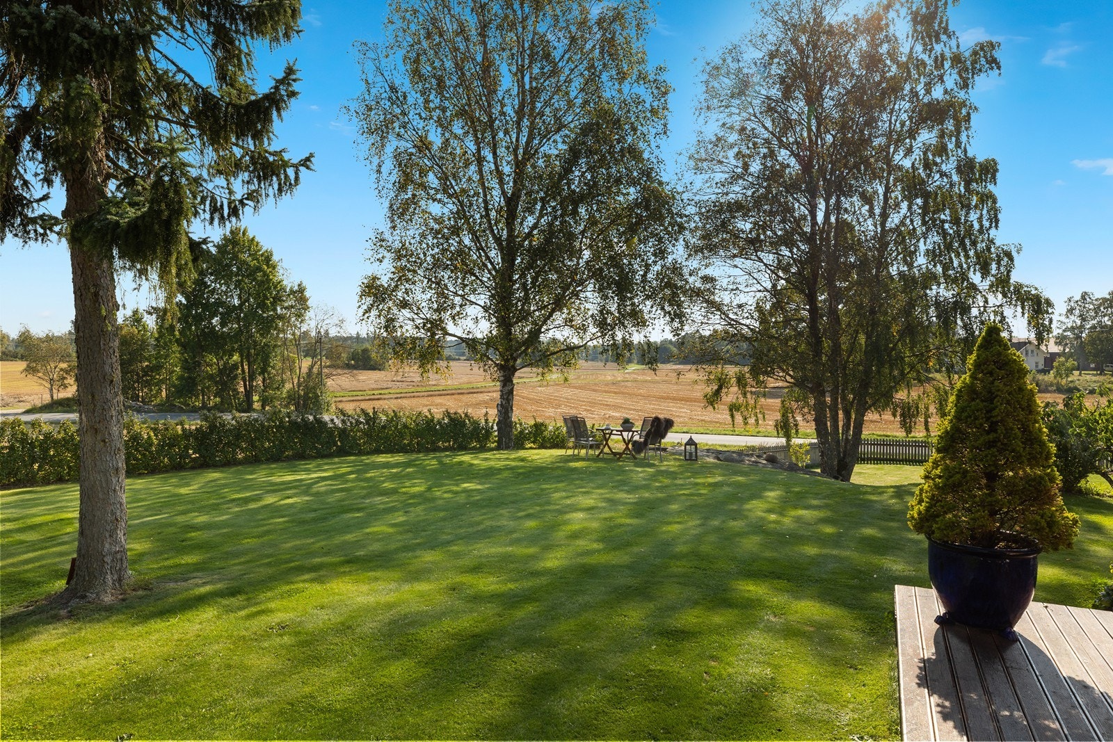 Det tilhørende skogstykket ligger over jordet og rett frem bak den store bjørka Galleribilde