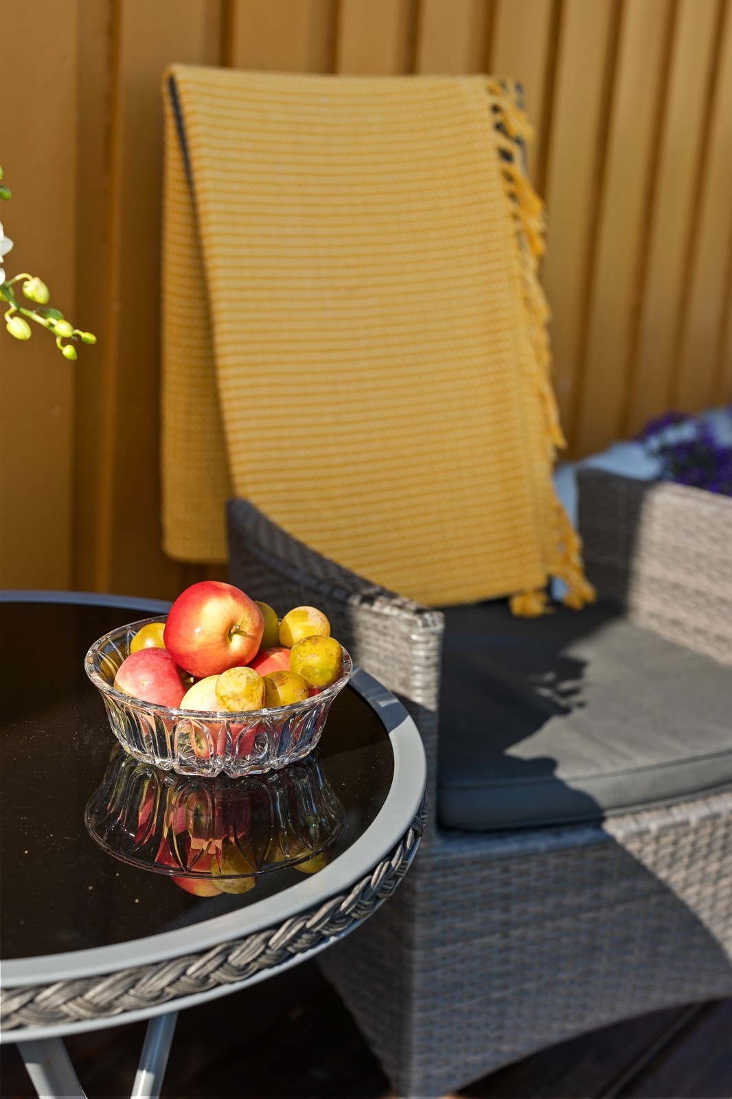 Høsten byr på frukter fra egen hage Galleribilde