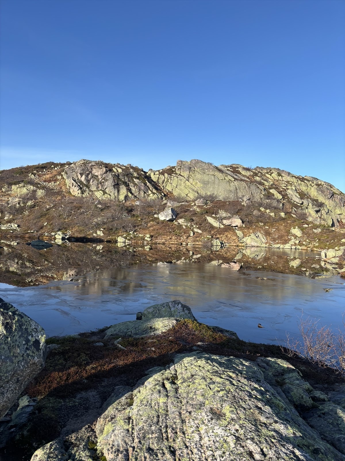 Selgers private bilde. Galleribilde