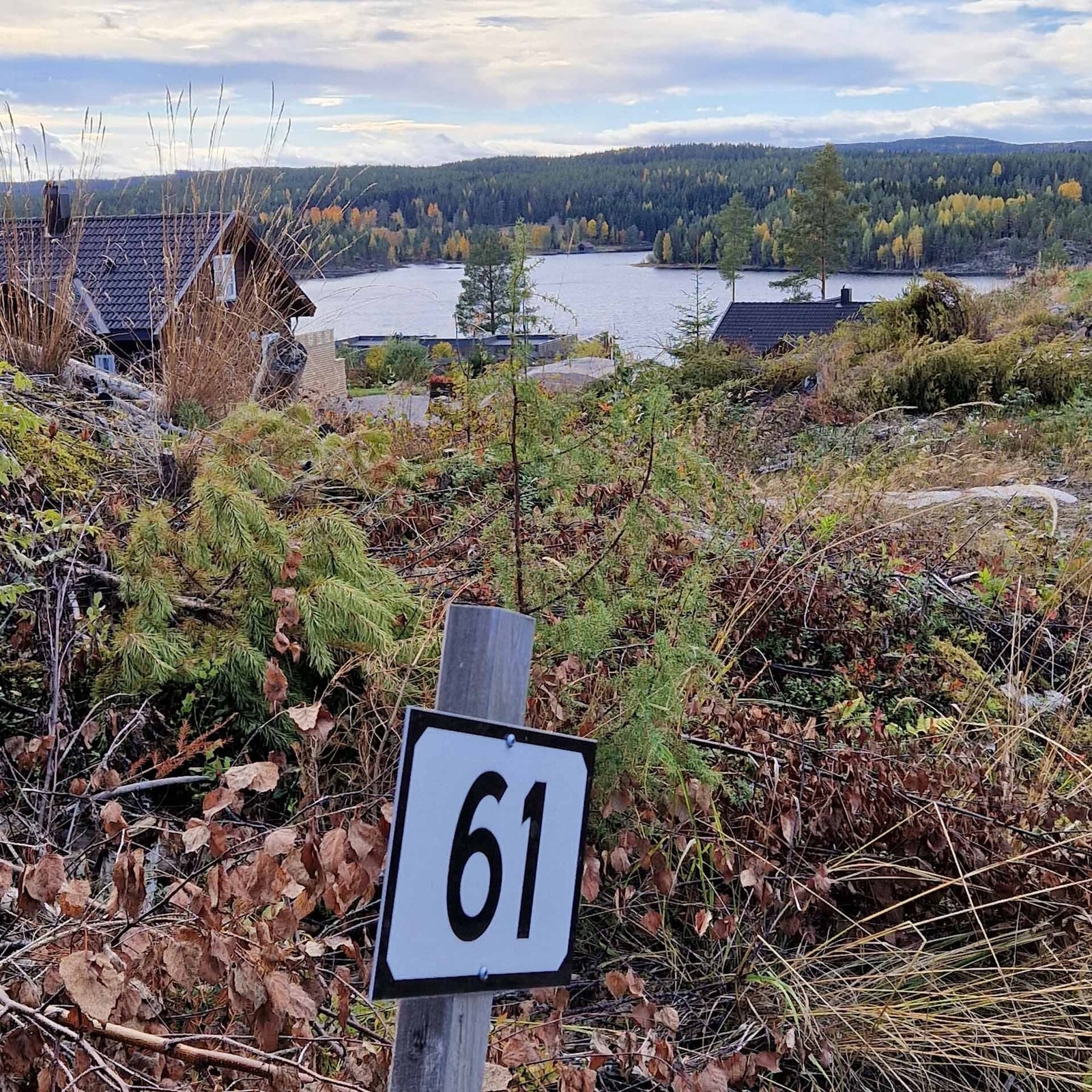 Foto fra tomteområdet Galleribilde