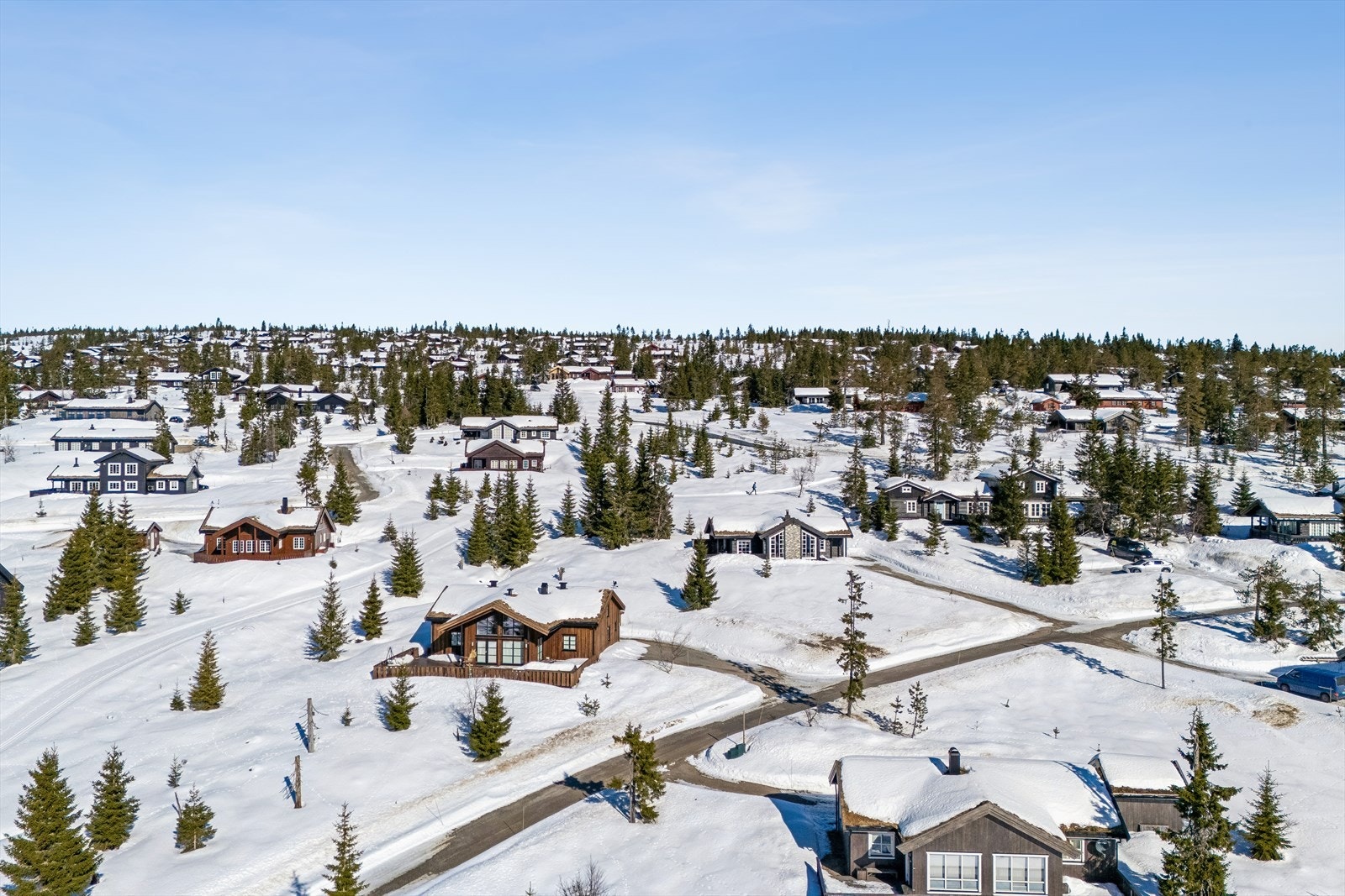 Områdebilde over deler av Svaenlia Galleribilde