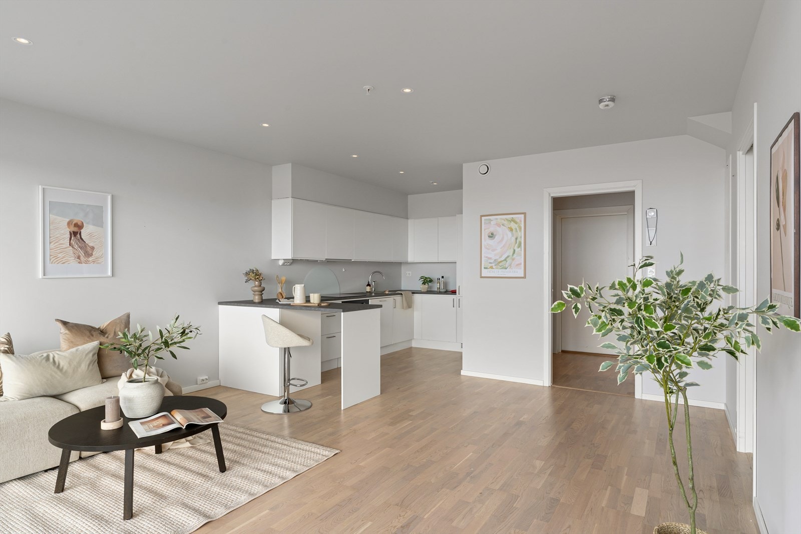 Stue / Kjøkken Galleribilde