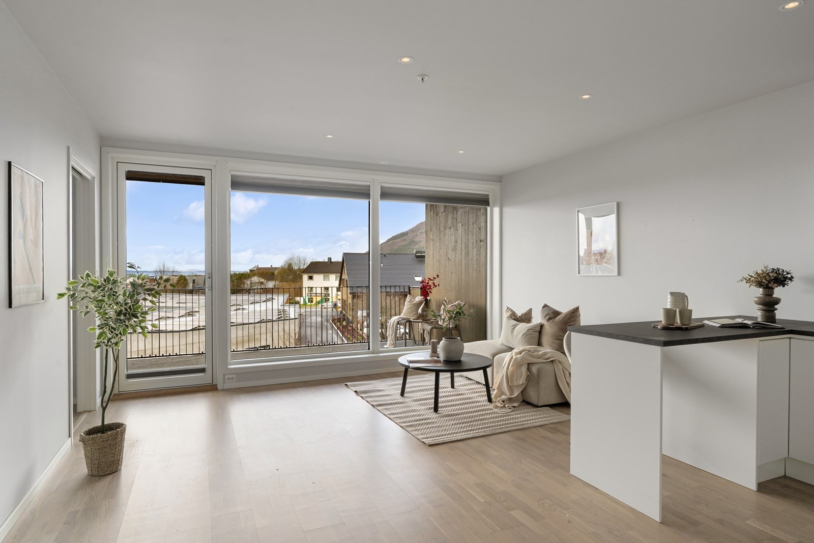 Stue / Kjøkken Galleribilde