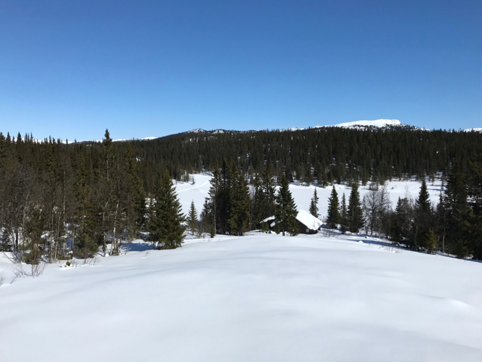 Hytta ligger fint til med flott utsikt mot Lemortjønn og omkringliggende fjell. Galleribilde