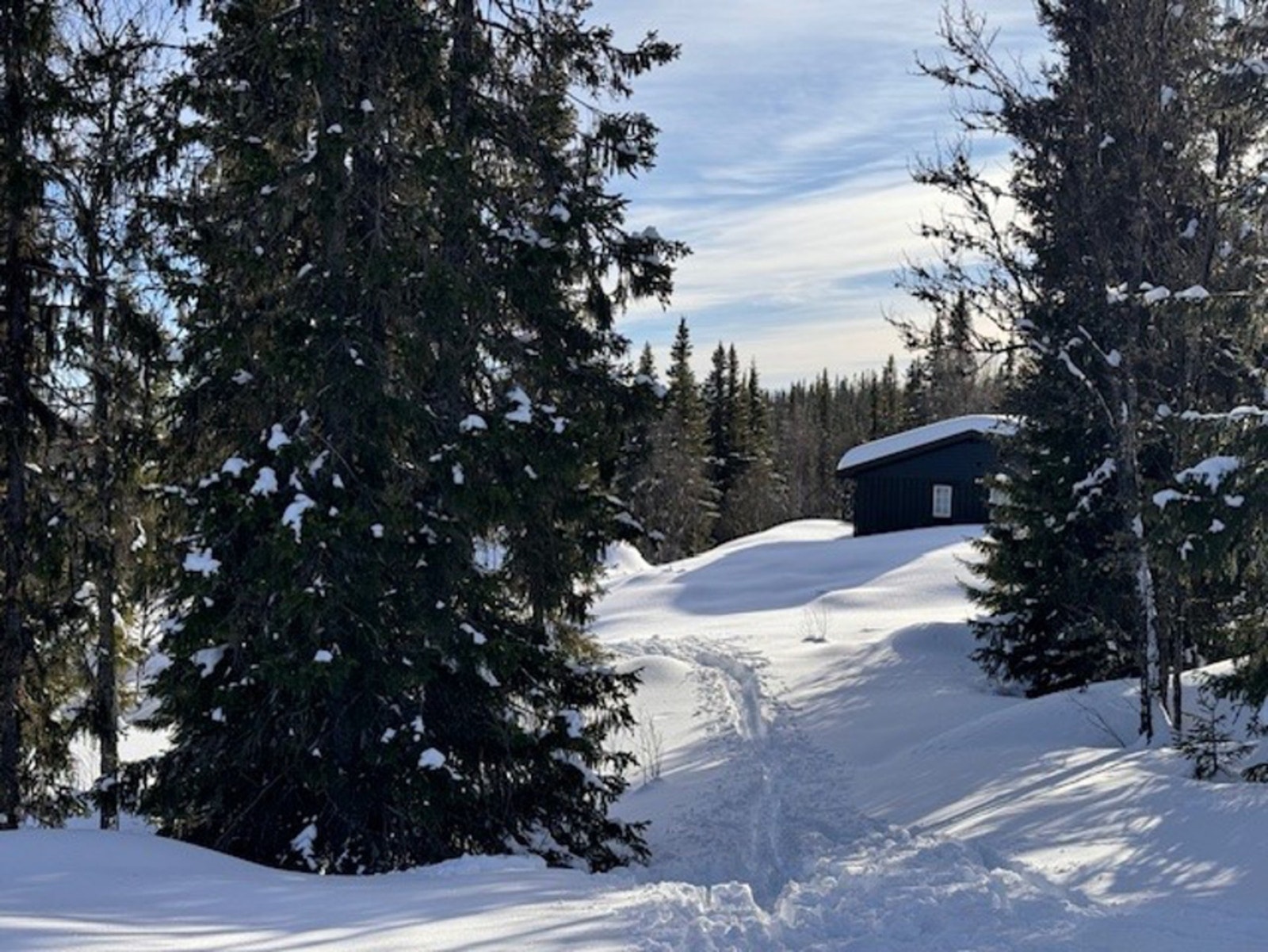 Uberørt natur. Galleribilde