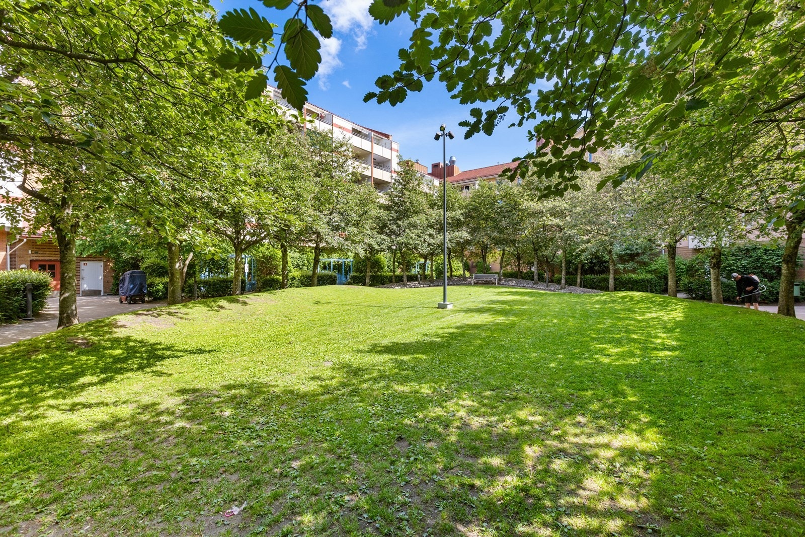 Stort grøntområde. Galleribilde