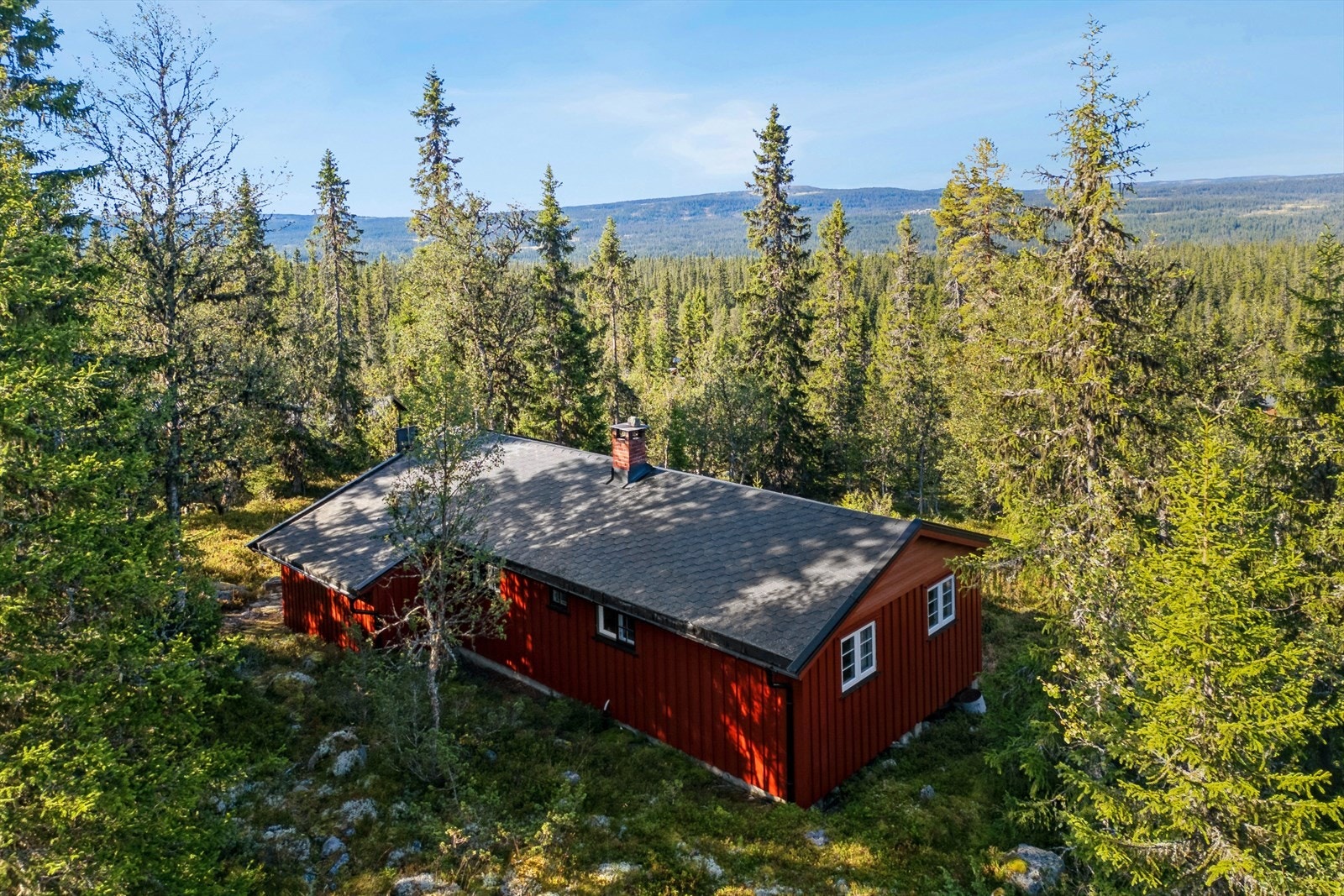 Det er kort avstand til åpent fjellterreng. Her finner du utallige stier, og vinterstid går skiløypa rett forbi hytta. Galleribilde
